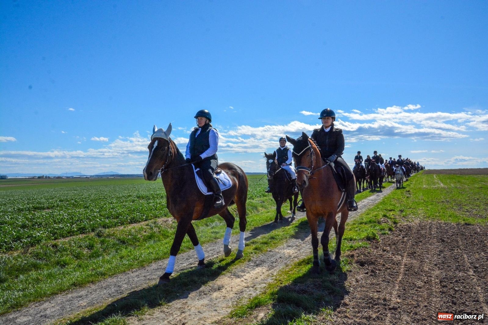 Zdjęcie w galerii na portalu naszraciborz.pl: Bieńkowice: średniowieczna tradycja wciąż żywa - ponad sto koni w procesji [FOTO i WIDEO] wiadomości z regionu