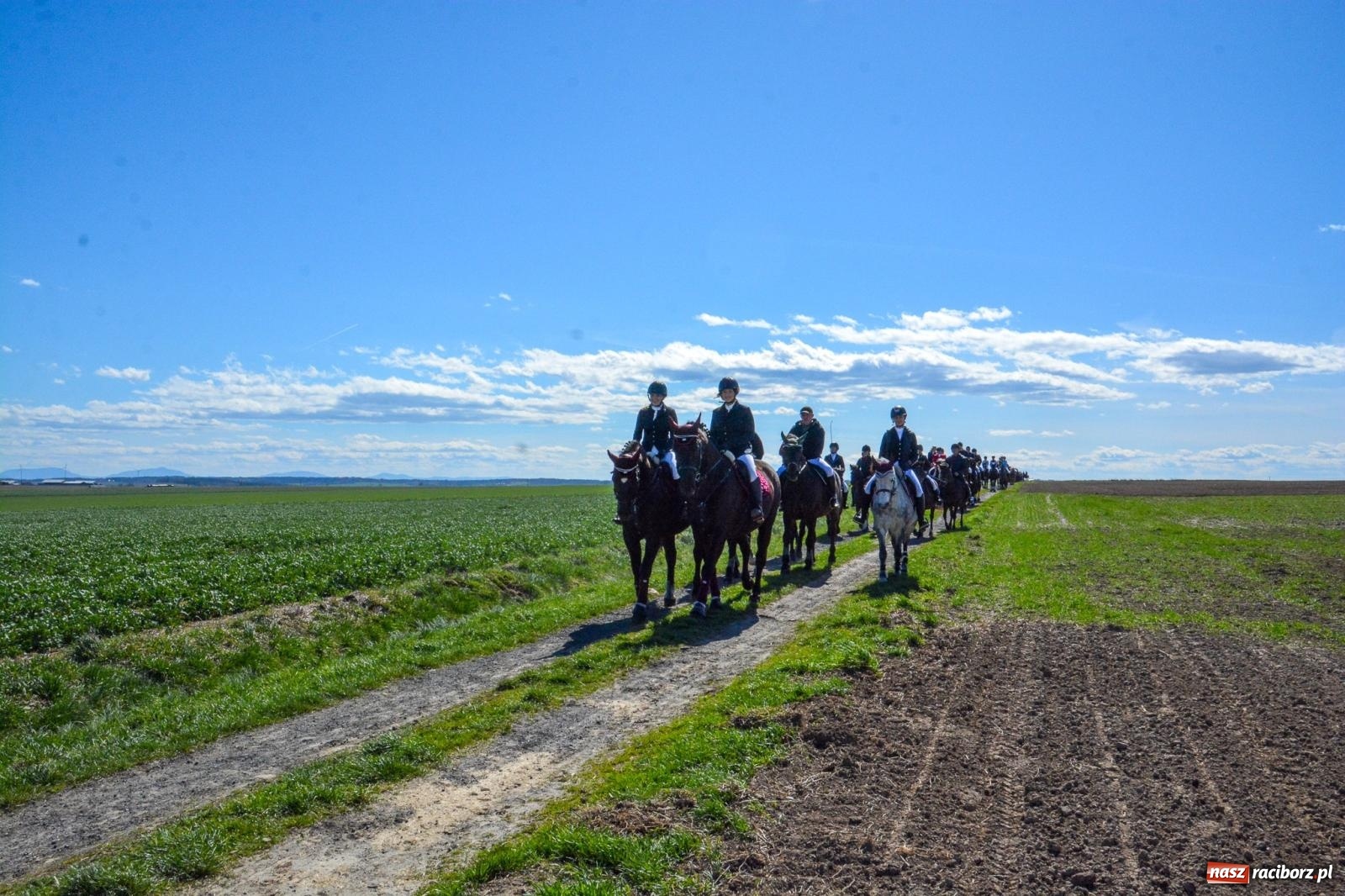 Zdjęcie w galerii na portalu naszraciborz.pl: Bieńkowice: średniowieczna tradycja wciąż żywa - ponad sto koni w procesji [FOTO i WIDEO] wiadomości z regionu