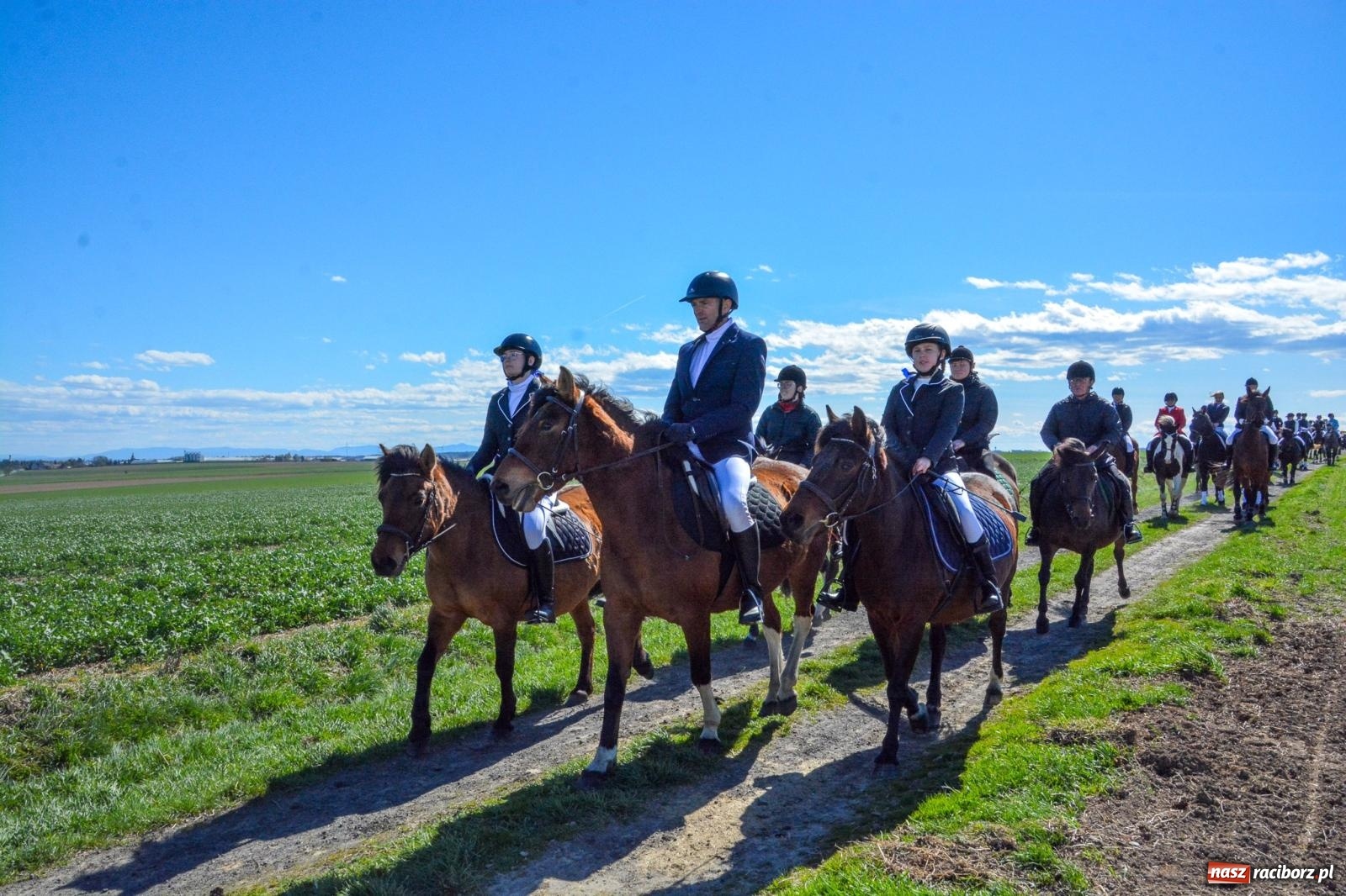 Zdjęcie w galerii na portalu naszraciborz.pl: Bieńkowice: średniowieczna tradycja wciąż żywa - ponad sto koni w procesji [FOTO i WIDEO] wiadomości z regionu