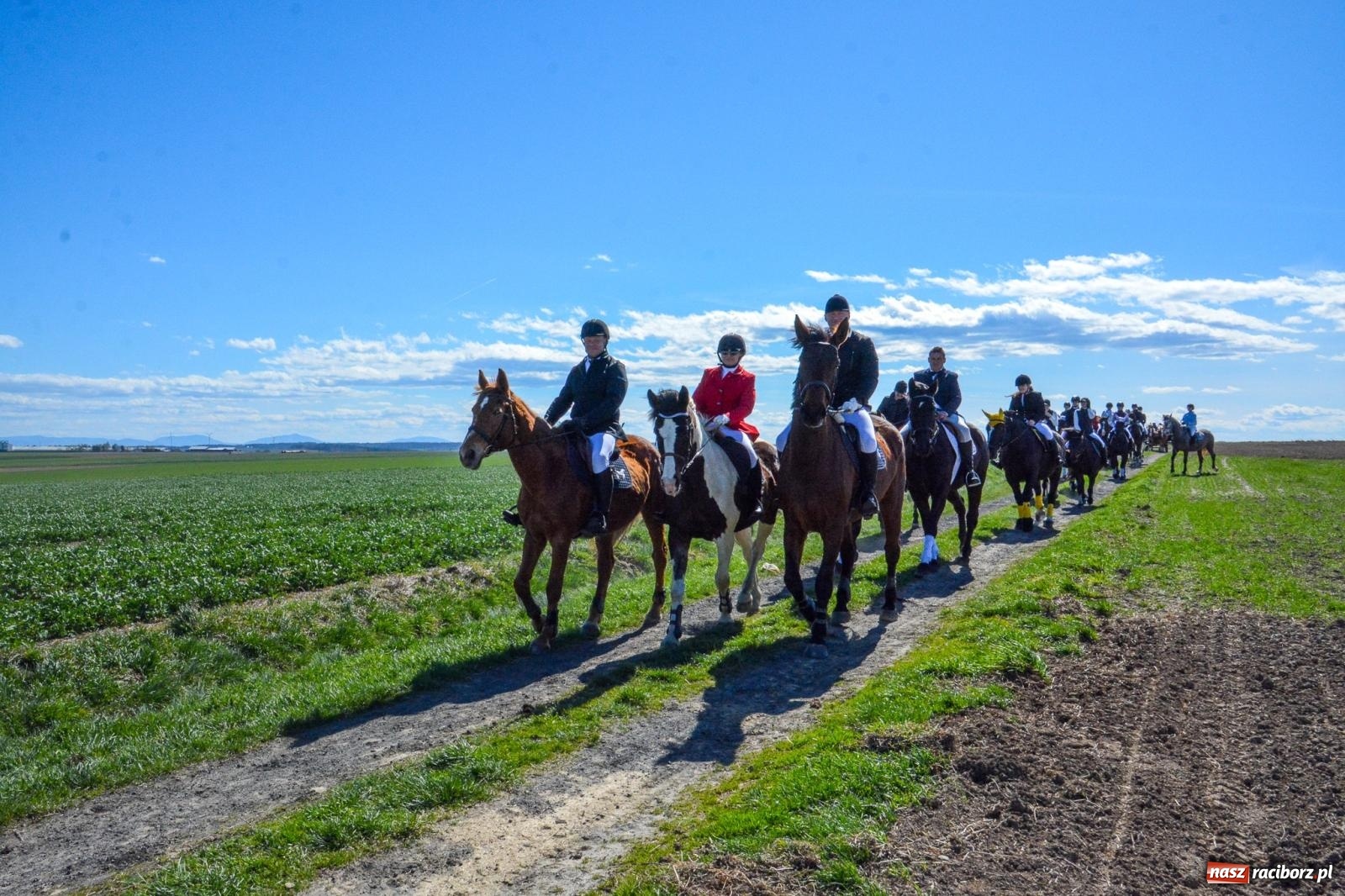 Zdjęcie w galerii na portalu naszraciborz.pl: Bieńkowice: średniowieczna tradycja wciąż żywa - ponad sto koni w procesji [FOTO i WIDEO] wiadomości z regionu