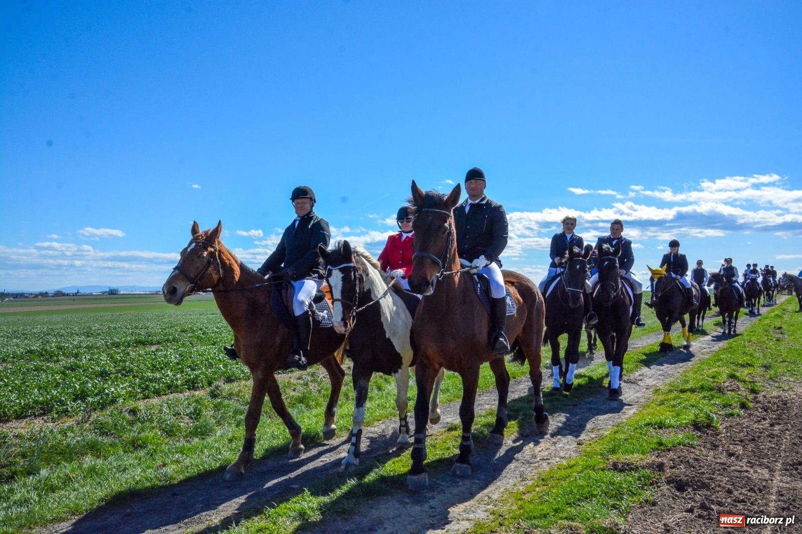 Zdjęcie w galerii na portalu naszraciborz.pl: Bieńkowice: średniowieczna tradycja wciąż żywa - ponad sto koni w procesji [FOTO i WIDEO] wiadomości z regionu