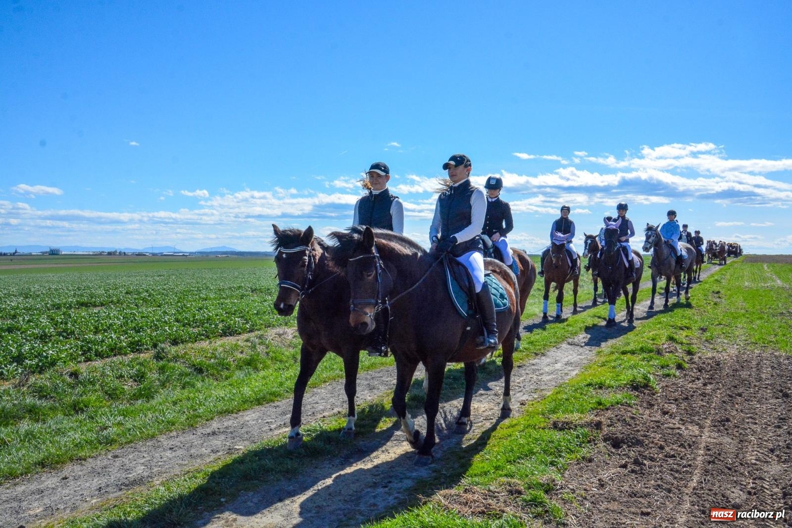 Zdjęcie w galerii na portalu naszraciborz.pl: Bieńkowice: średniowieczna tradycja wciąż żywa - ponad sto koni w procesji [FOTO i WIDEO] wiadomości z regionu