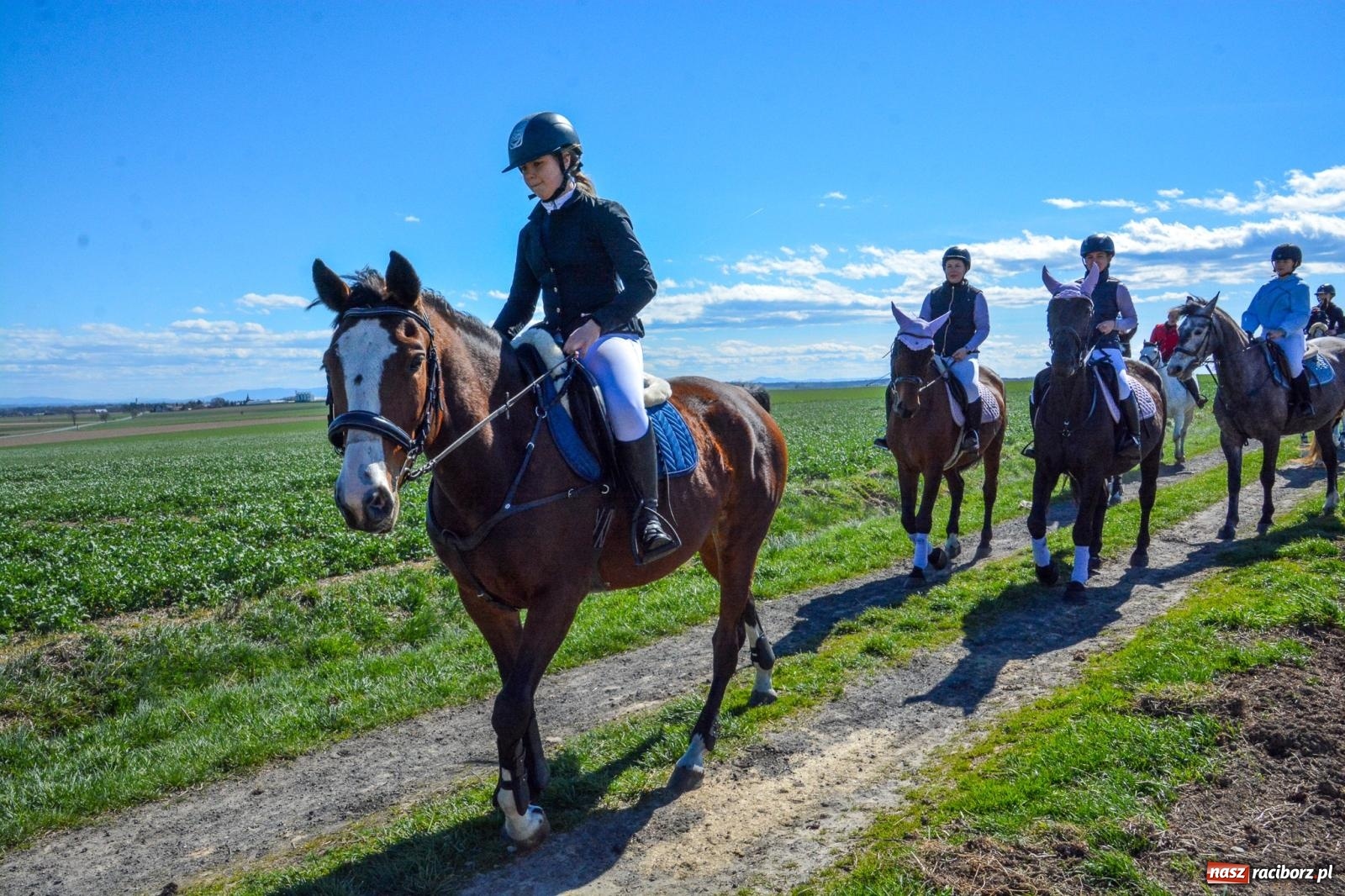 Zdjęcie w galerii na portalu naszraciborz.pl: Bieńkowice: średniowieczna tradycja wciąż żywa - ponad sto koni w procesji [FOTO i WIDEO] wiadomości z regionu