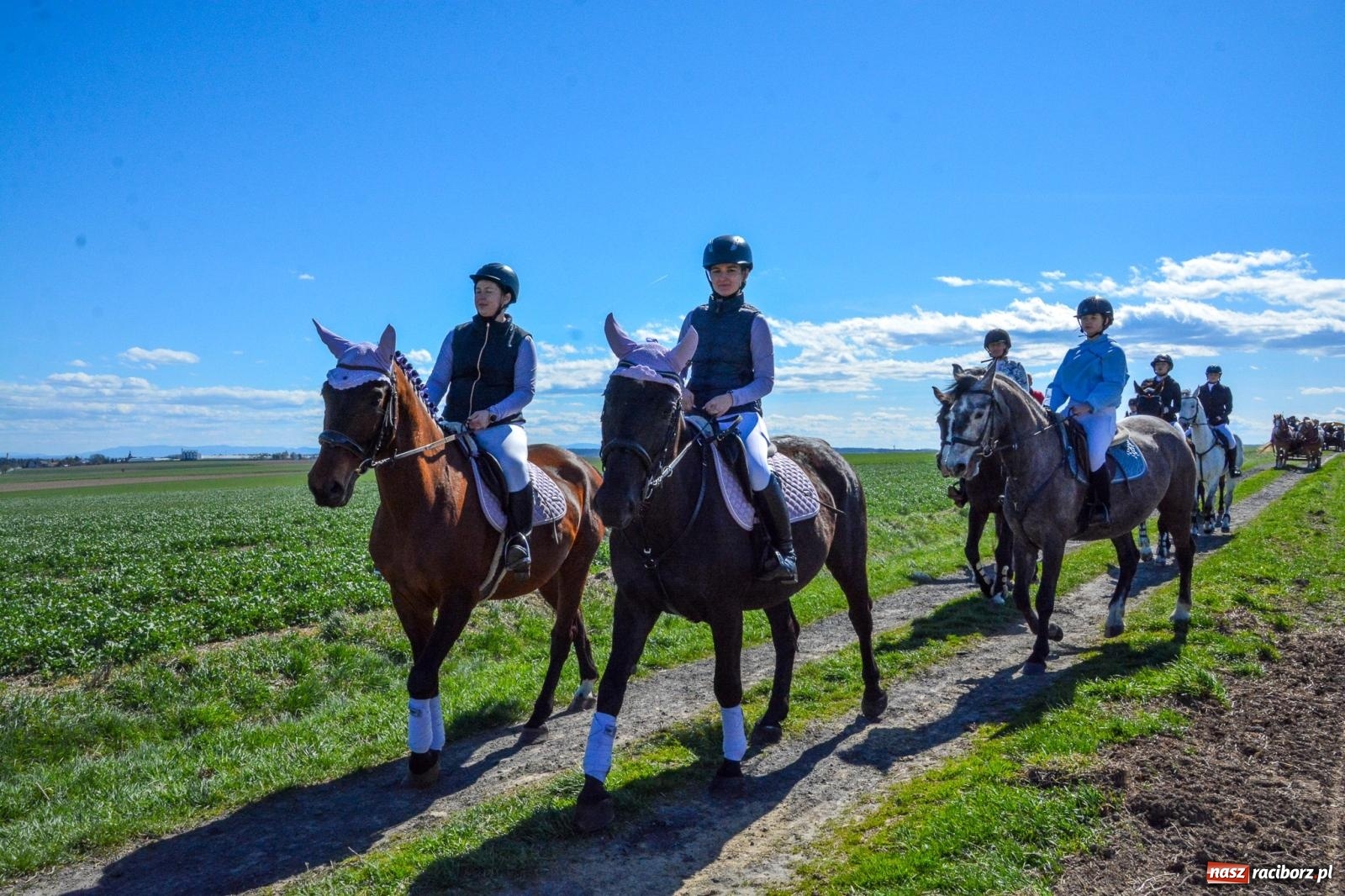 Zdjęcie w galerii na portalu naszraciborz.pl: Bieńkowice: średniowieczna tradycja wciąż żywa - ponad sto koni w procesji [FOTO i WIDEO] wiadomości z regionu