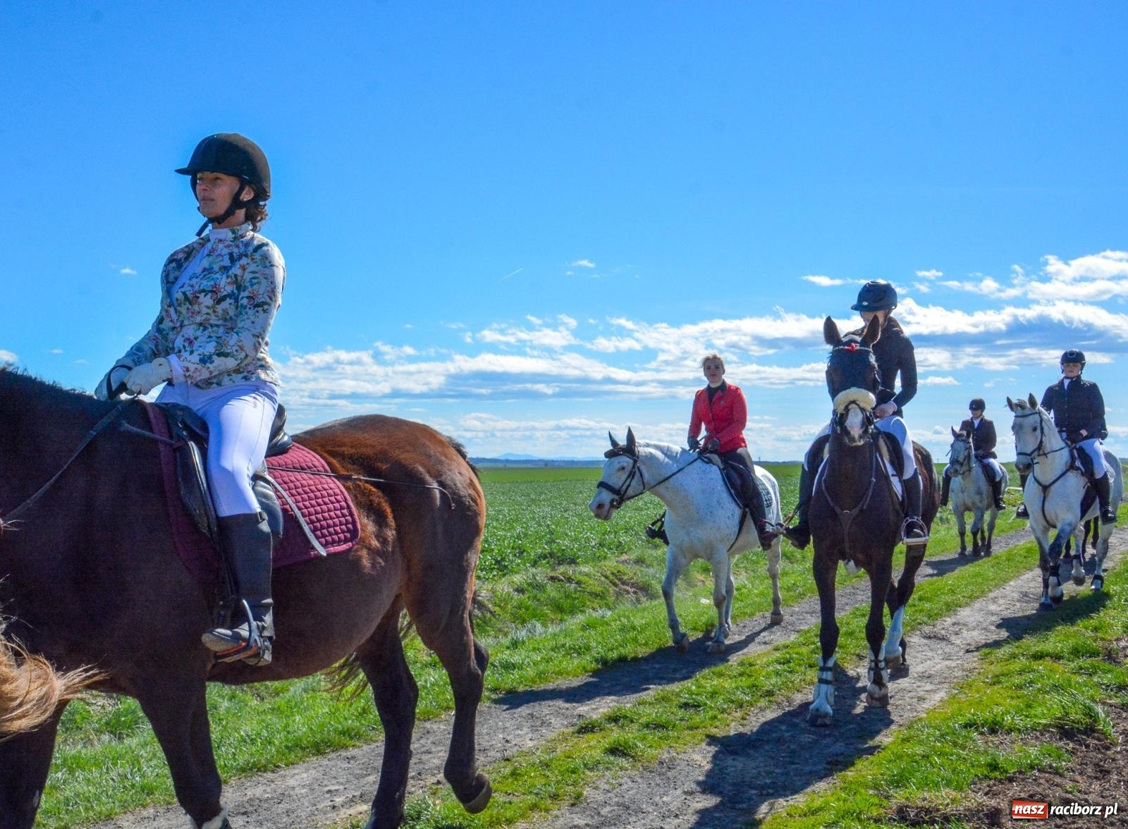 Zdjęcie w galerii na portalu naszraciborz.pl: Bieńkowice: średniowieczna tradycja wciąż żywa - ponad sto koni w procesji [FOTO i WIDEO] wiadomości z regionu
