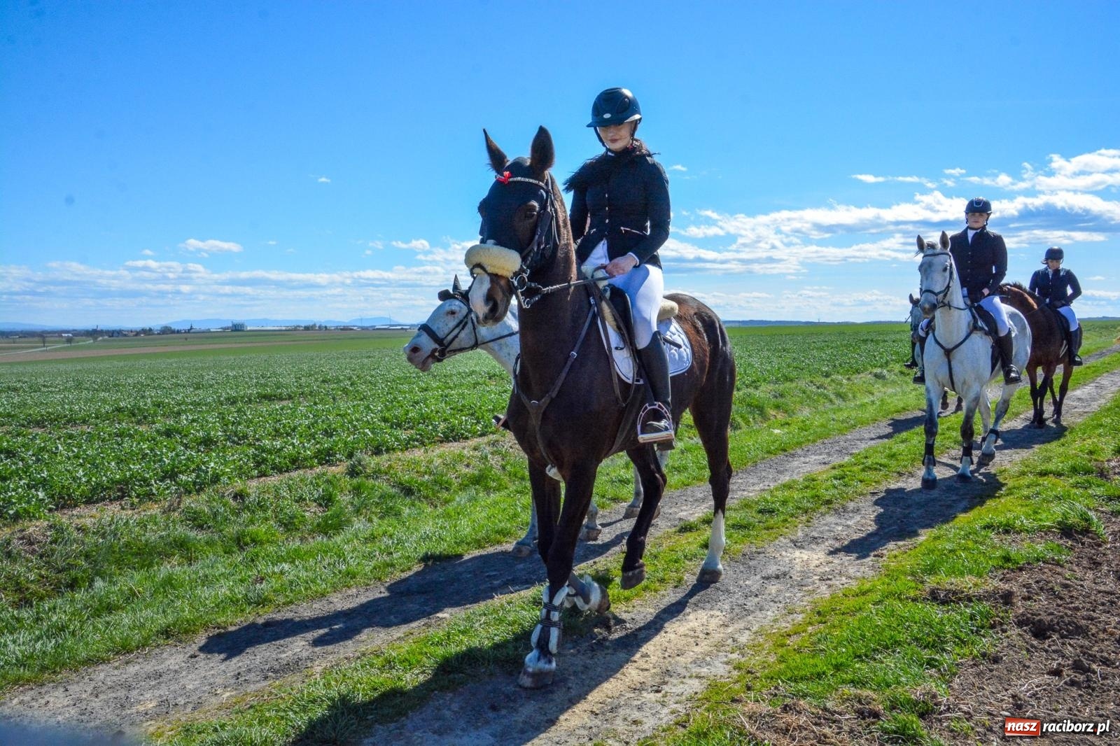 Zdjęcie w galerii na portalu naszraciborz.pl: Bieńkowice: średniowieczna tradycja wciąż żywa - ponad sto koni w procesji [FOTO i WIDEO] wiadomości z regionu