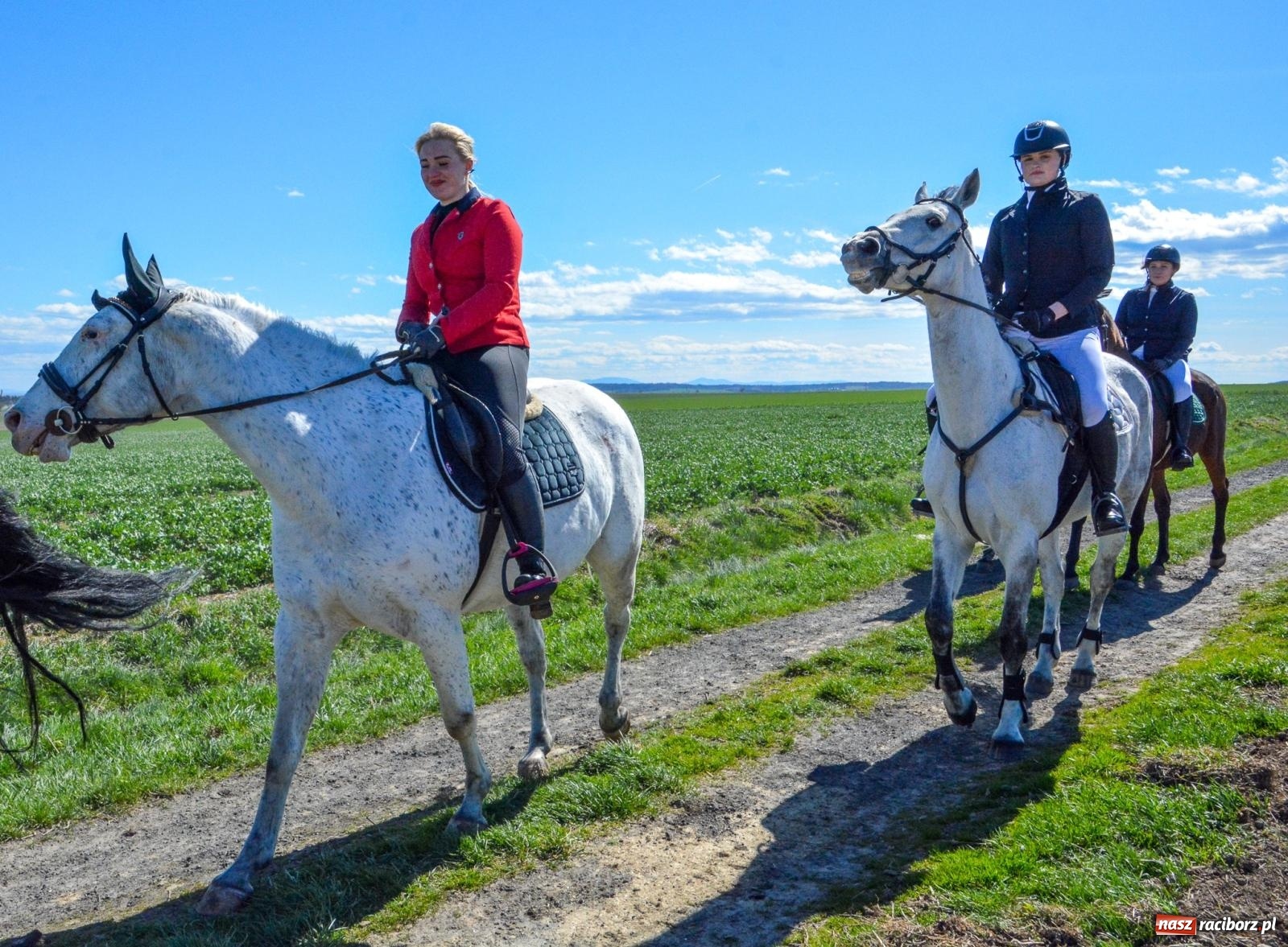 Zdjęcie w galerii na portalu naszraciborz.pl: Bieńkowice: średniowieczna tradycja wciąż żywa - ponad sto koni w procesji [FOTO i WIDEO] wiadomości z regionu