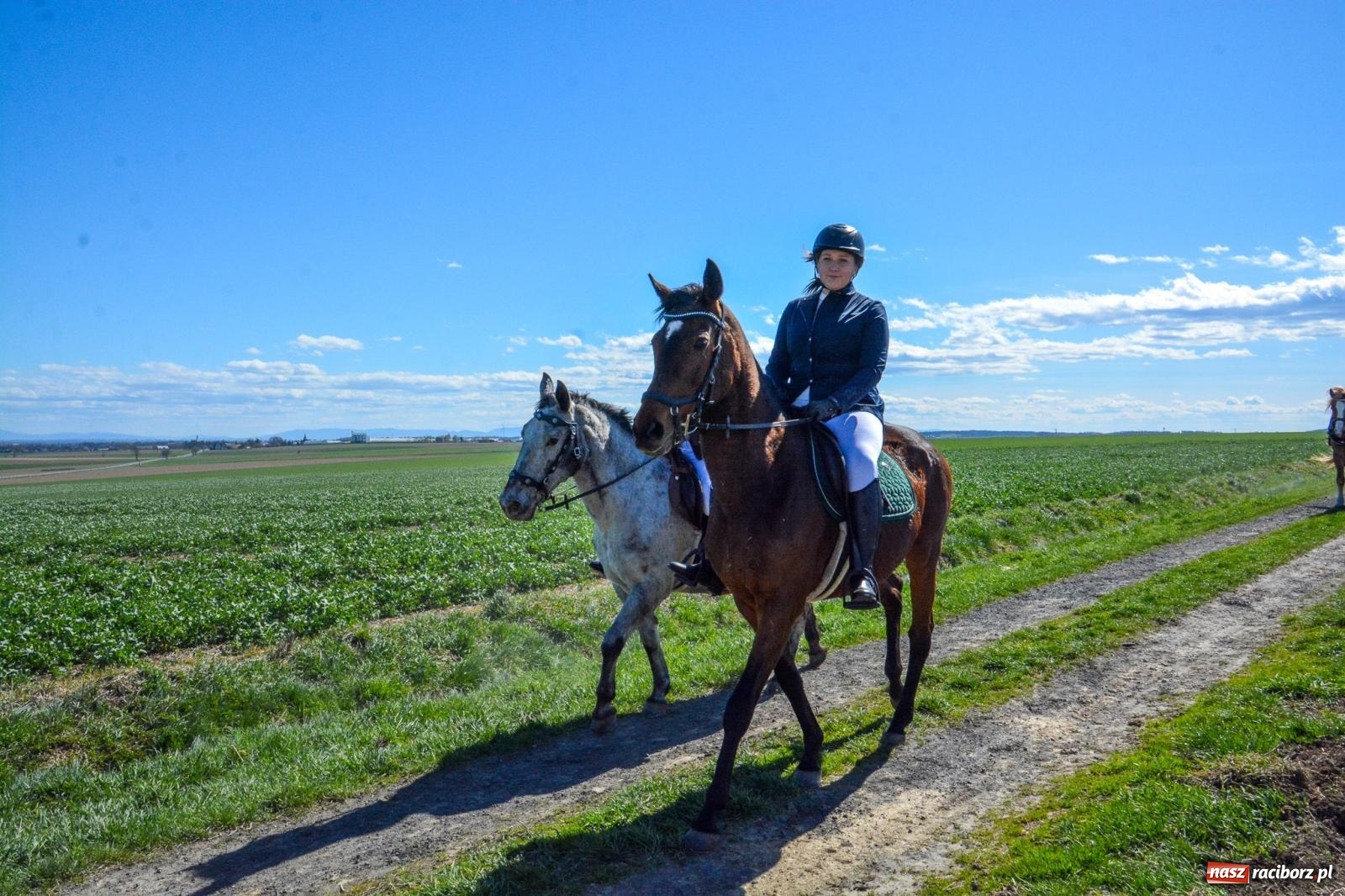 Zdjęcie w galerii na portalu naszraciborz.pl: Bieńkowice: średniowieczna tradycja wciąż żywa - ponad sto koni w procesji [FOTO i WIDEO] wiadomości z regionu