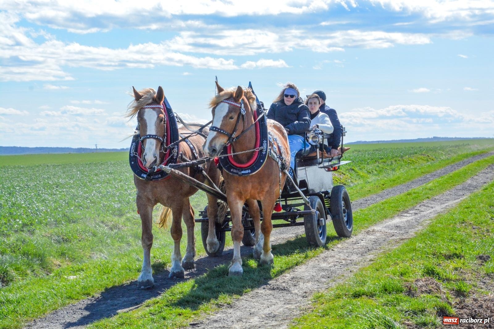 Zdjęcie w galerii na portalu naszraciborz.pl: Bieńkowice: średniowieczna tradycja wciąż żywa - ponad sto koni w procesji [FOTO i WIDEO] wiadomości z regionu