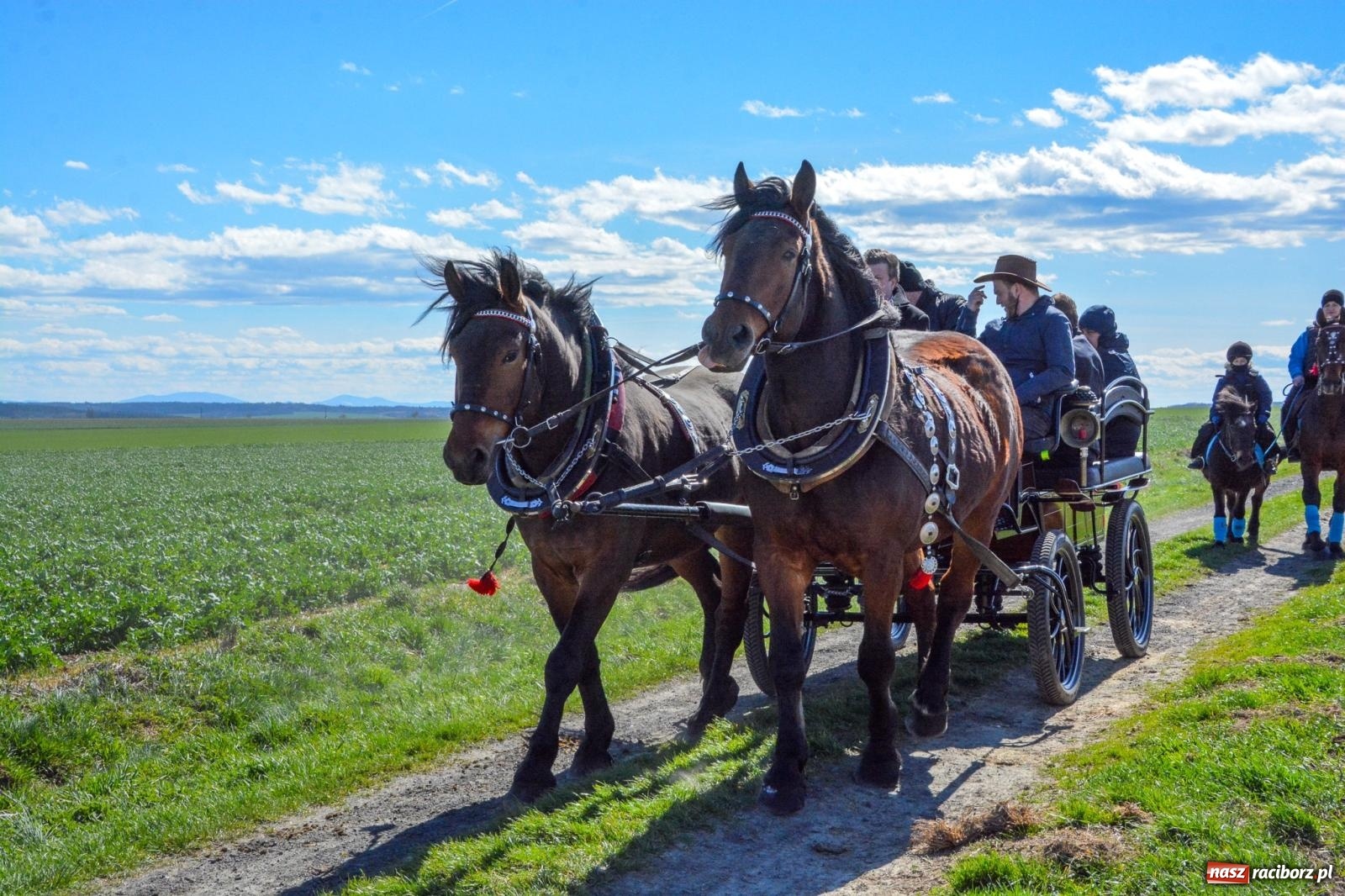 Zdjęcie w galerii na portalu naszraciborz.pl: Bieńkowice: średniowieczna tradycja wciąż żywa - ponad sto koni w procesji [FOTO i WIDEO] wiadomości z regionu