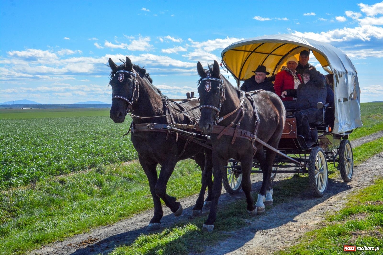 Zdjęcie w galerii na portalu naszraciborz.pl: Bieńkowice: średniowieczna tradycja wciąż żywa - ponad sto koni w procesji [FOTO i WIDEO] wiadomości z regionu