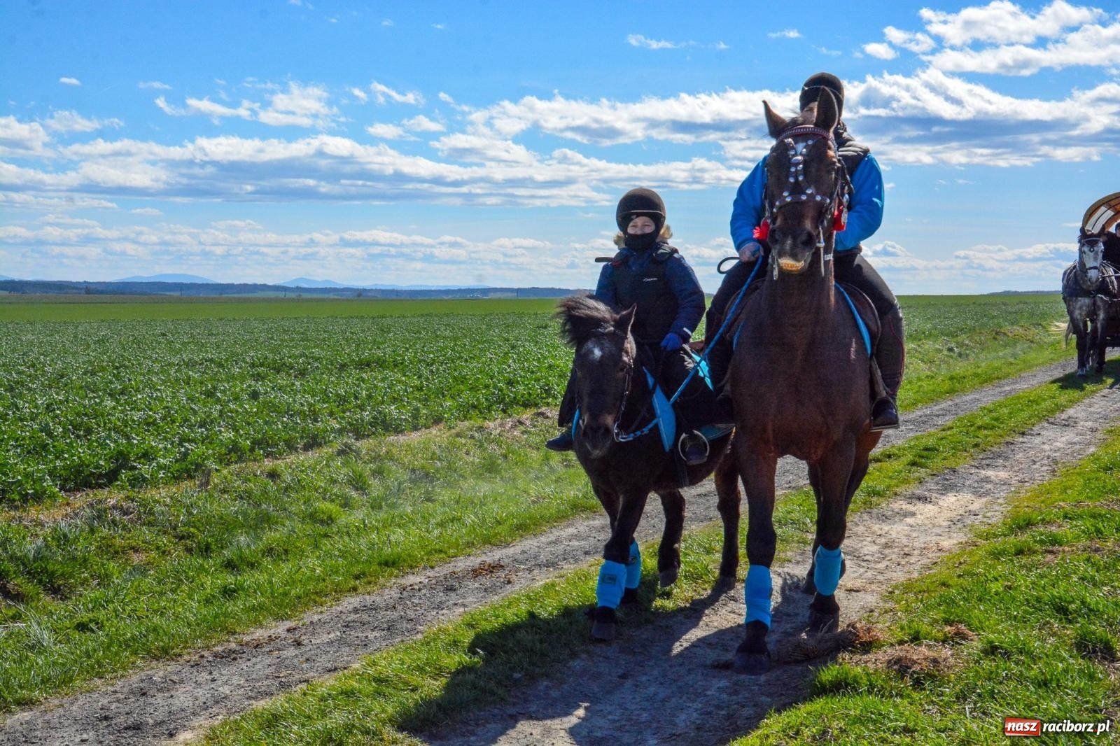 Zdjęcie w galerii na portalu naszraciborz.pl: Bieńkowice: średniowieczna tradycja wciąż żywa - ponad sto koni w procesji [FOTO i WIDEO] wiadomości z regionu
