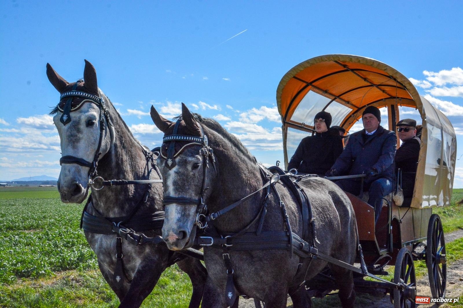 Zdjęcie w galerii na portalu naszraciborz.pl: Bieńkowice: średniowieczna tradycja wciąż żywa - ponad sto koni w procesji [FOTO i WIDEO] wiadomości z regionu