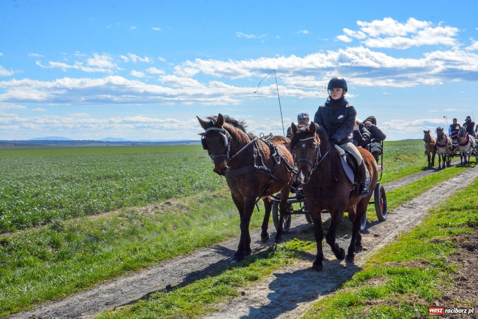 Zdjęcie w galerii na portalu naszraciborz.pl: Bieńkowice: średniowieczna tradycja wciąż żywa - ponad sto koni w procesji [FOTO i WIDEO] wiadomości z regionu