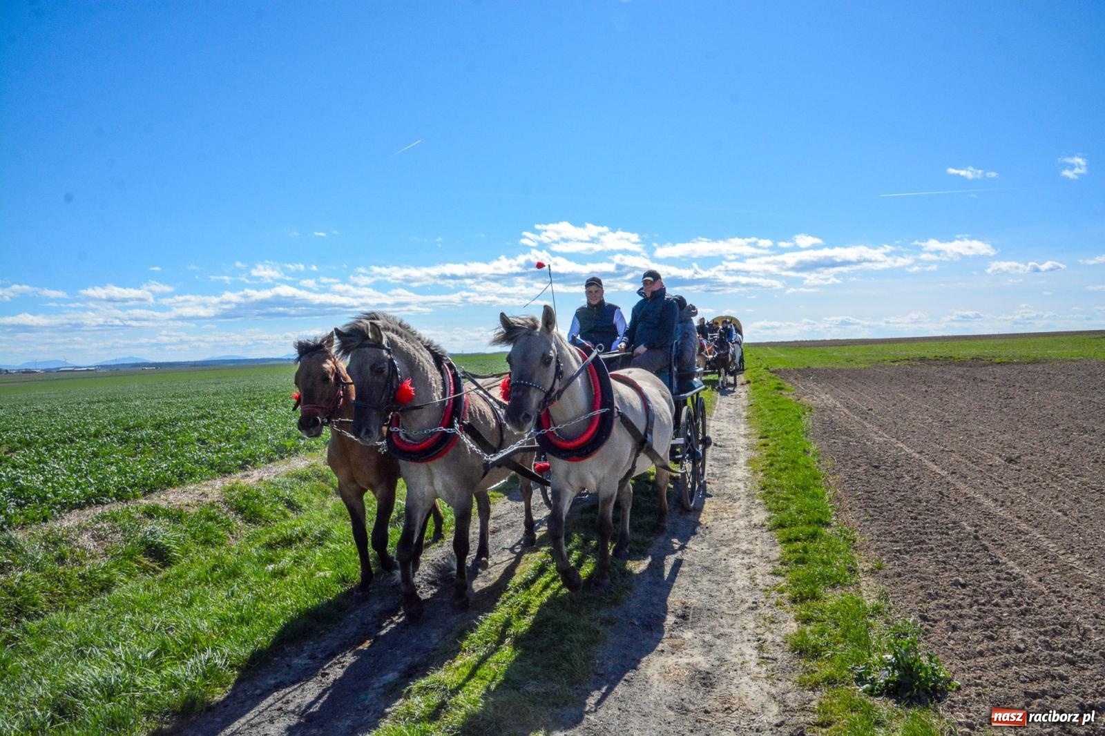Zdjęcie w galerii na portalu naszraciborz.pl: Bieńkowice: średniowieczna tradycja wciąż żywa - ponad sto koni w procesji [FOTO i WIDEO] wiadomości z regionu
