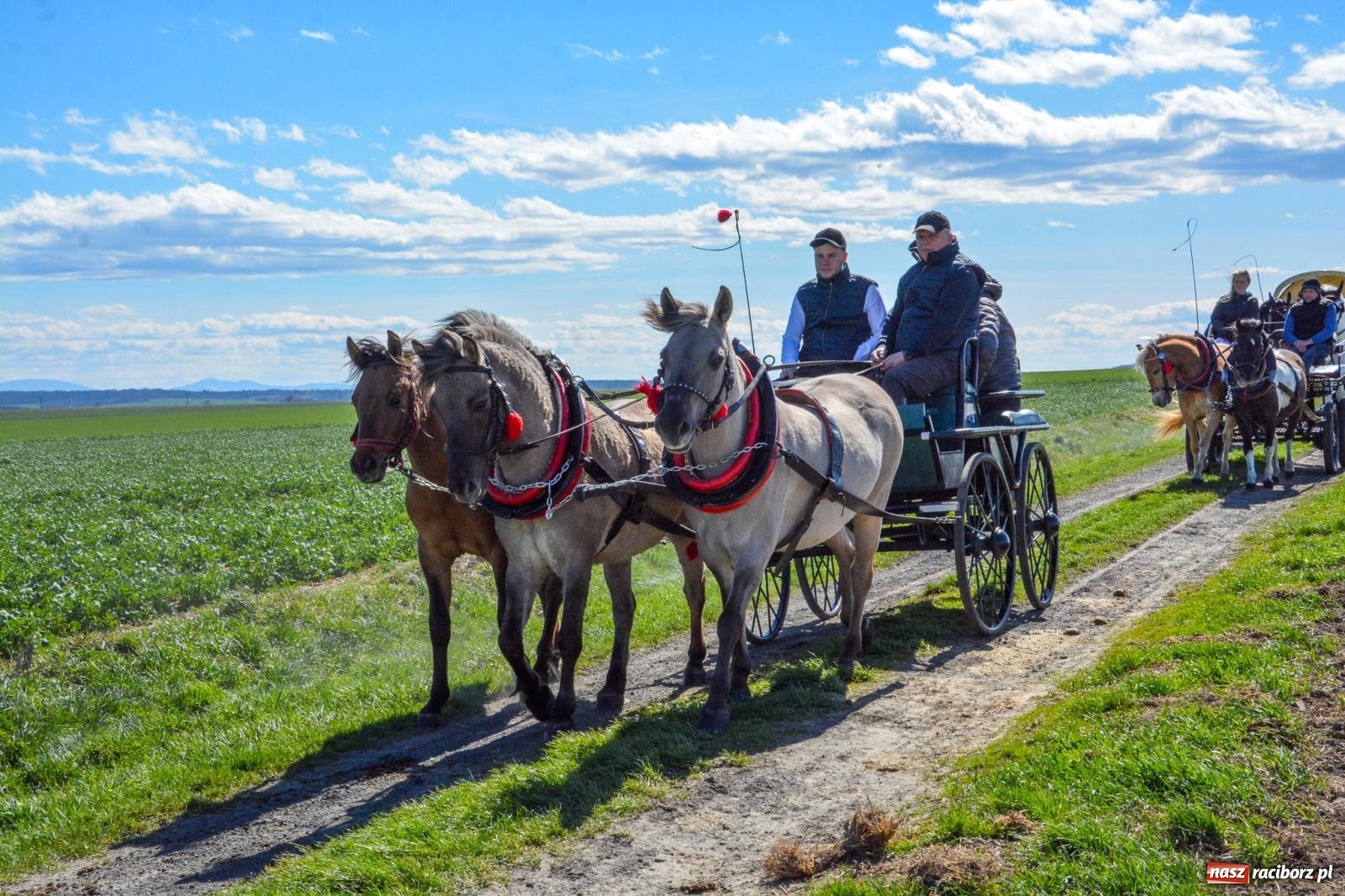 Zdjęcie w galerii na portalu naszraciborz.pl: Bieńkowice: średniowieczna tradycja wciąż żywa - ponad sto koni w procesji [FOTO i WIDEO] wiadomości z regionu