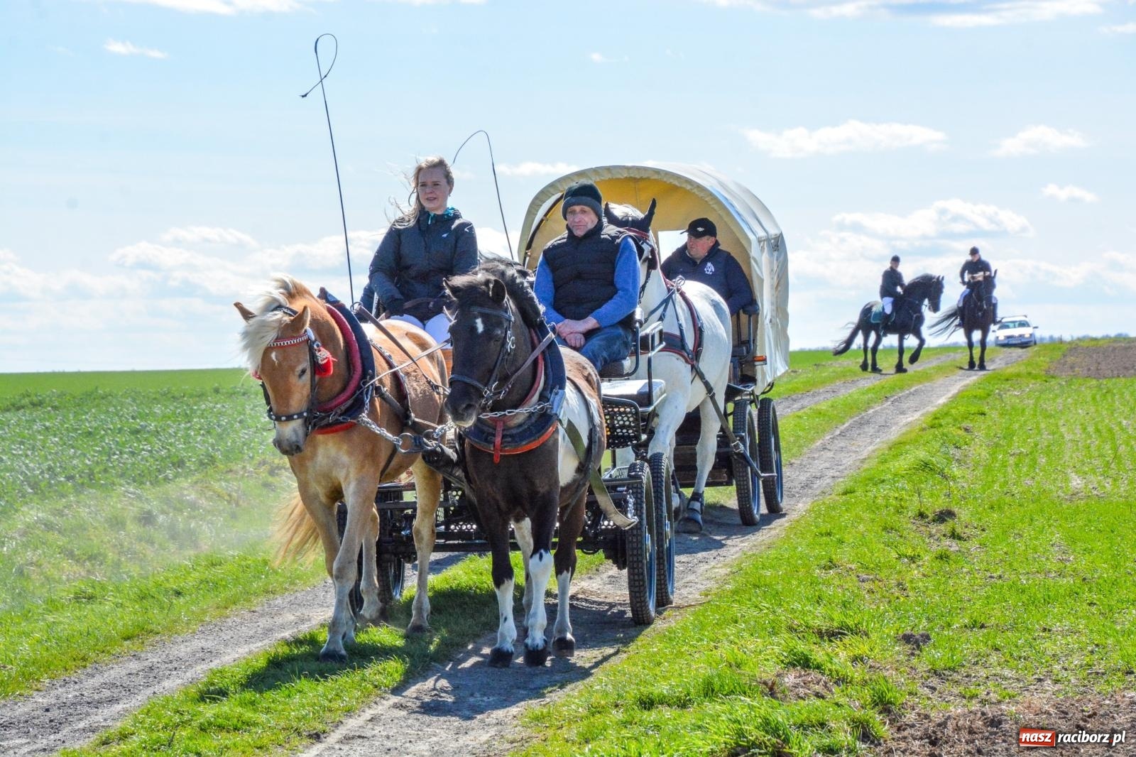 Zdjęcie w galerii na portalu naszraciborz.pl: Bieńkowice: średniowieczna tradycja wciąż żywa - ponad sto koni w procesji [FOTO i WIDEO] wiadomości z regionu