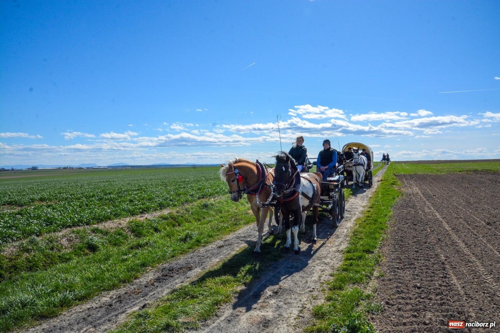 Zdjęcie w galerii na portalu naszraciborz.pl: Bieńkowice: średniowieczna tradycja wciąż żywa - ponad sto koni w procesji [FOTO i WIDEO] wiadomości z regionu