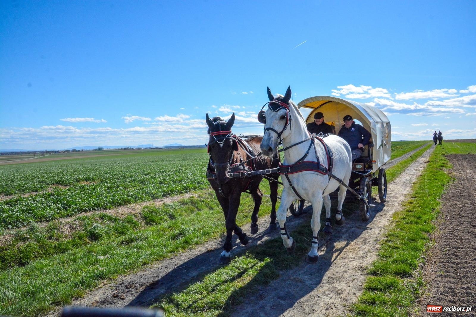 Zdjęcie w galerii na portalu naszraciborz.pl: Bieńkowice: średniowieczna tradycja wciąż żywa - ponad sto koni w procesji [FOTO i WIDEO] wiadomości z regionu