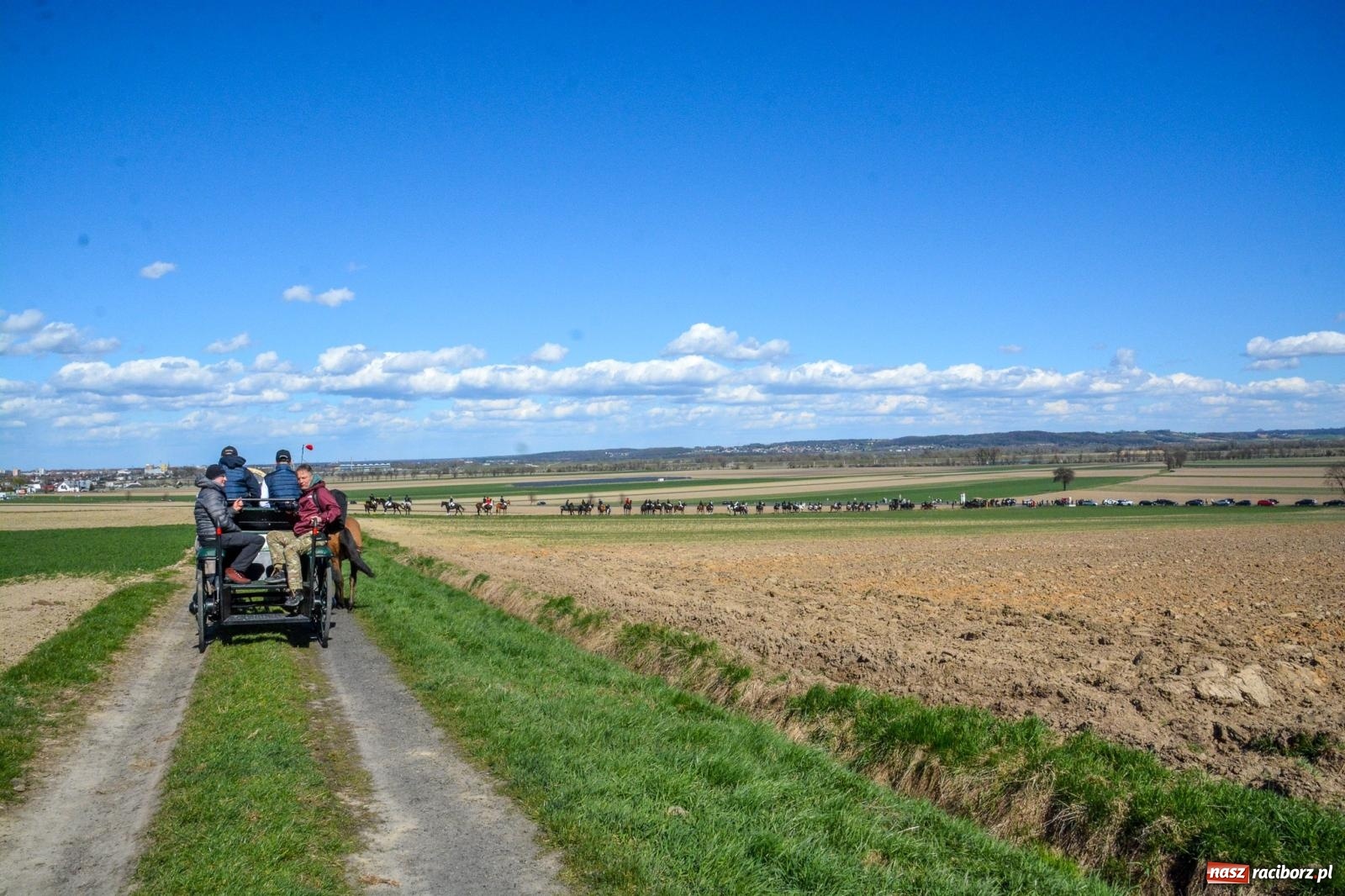 Zdjęcie w galerii na portalu naszraciborz.pl: Bieńkowice: średniowieczna tradycja wciąż żywa - ponad sto koni w procesji [FOTO i WIDEO] wiadomości z regionu
