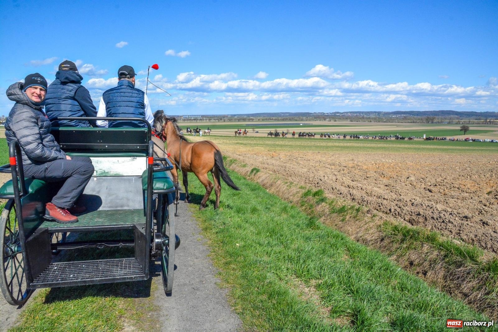 Zdjęcie w galerii na portalu naszraciborz.pl: Bieńkowice: średniowieczna tradycja wciąż żywa - ponad sto koni w procesji [FOTO i WIDEO] wiadomości z regionu