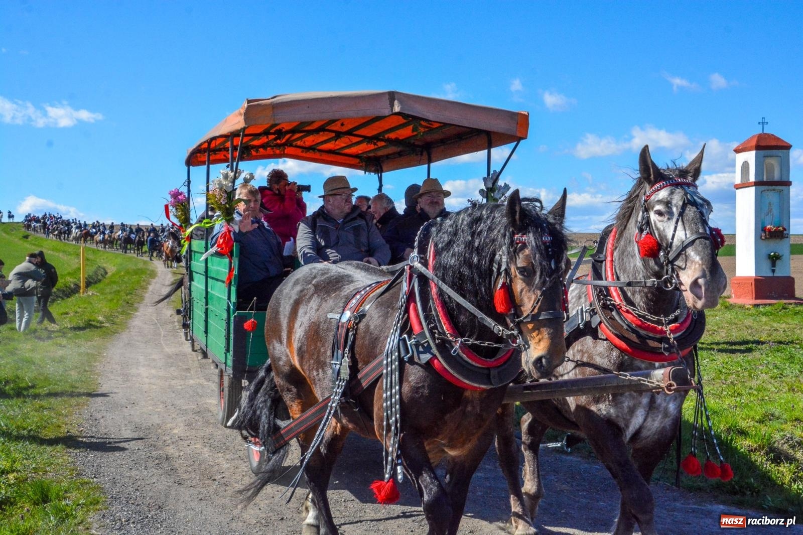 Zdjęcie w galerii na portalu naszraciborz.pl: Bieńkowice: średniowieczna tradycja wciąż żywa - ponad sto koni w procesji [FOTO i WIDEO] wiadomości z regionu
