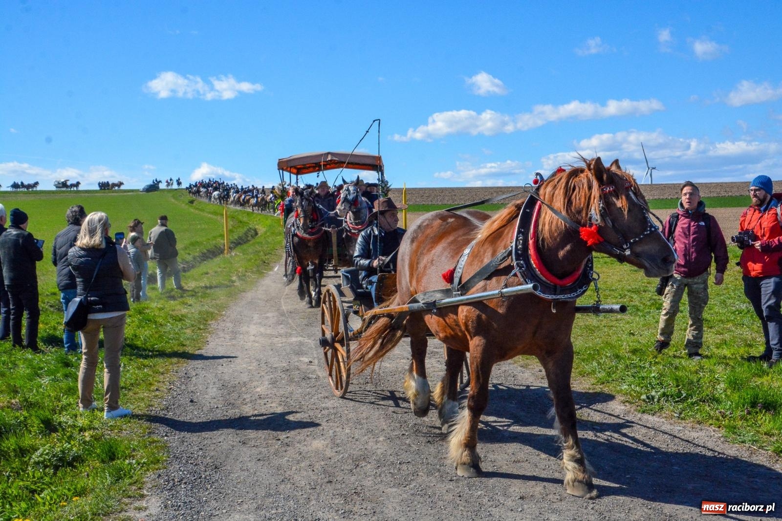 Zdjęcie w galerii na portalu naszraciborz.pl: Bieńkowice: średniowieczna tradycja wciąż żywa - ponad sto koni w procesji [FOTO i WIDEO] wiadomości z regionu