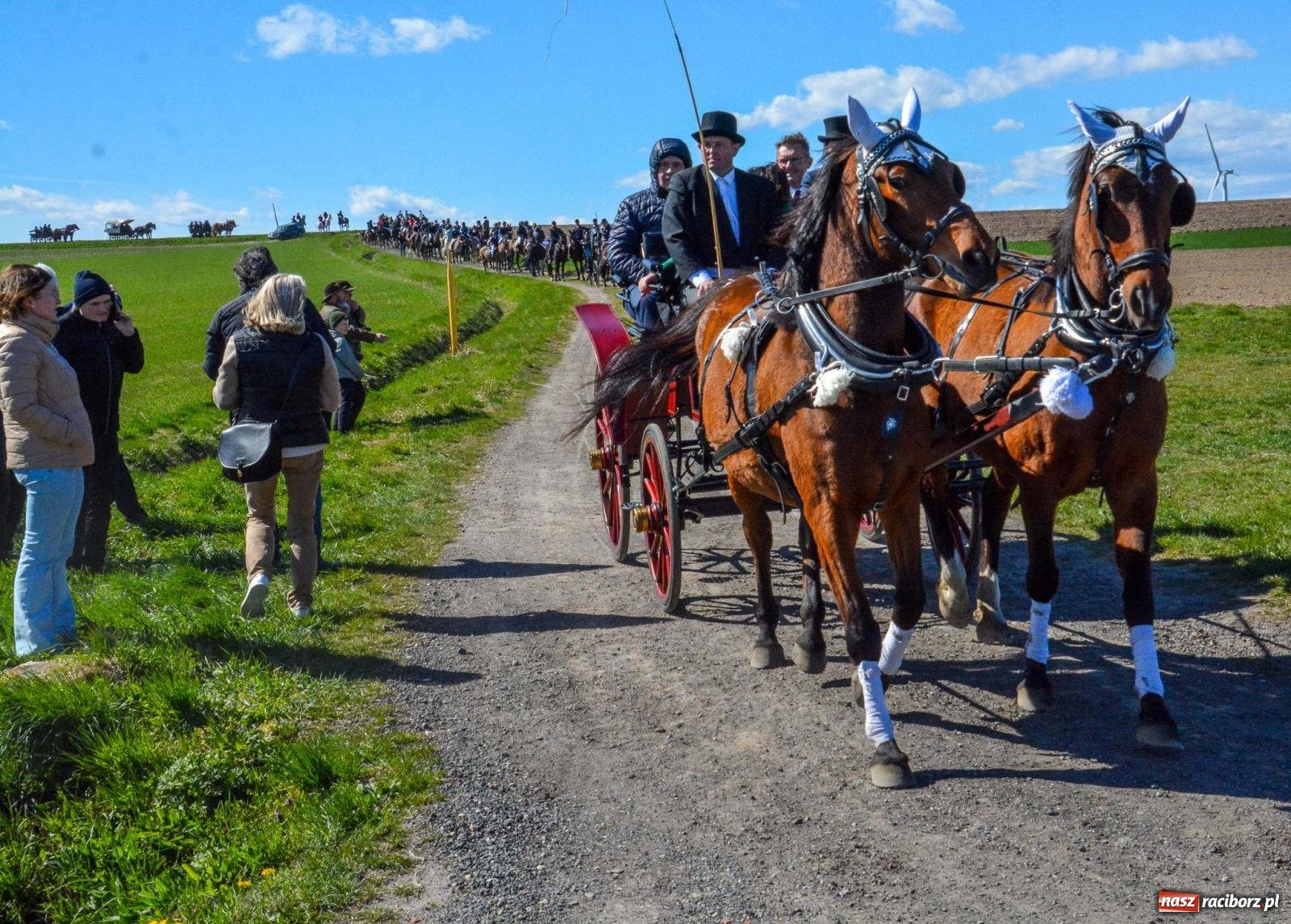 Zdjęcie w galerii na portalu naszraciborz.pl: Bieńkowice: średniowieczna tradycja wciąż żywa - ponad sto koni w procesji [FOTO i WIDEO] wiadomości z regionu