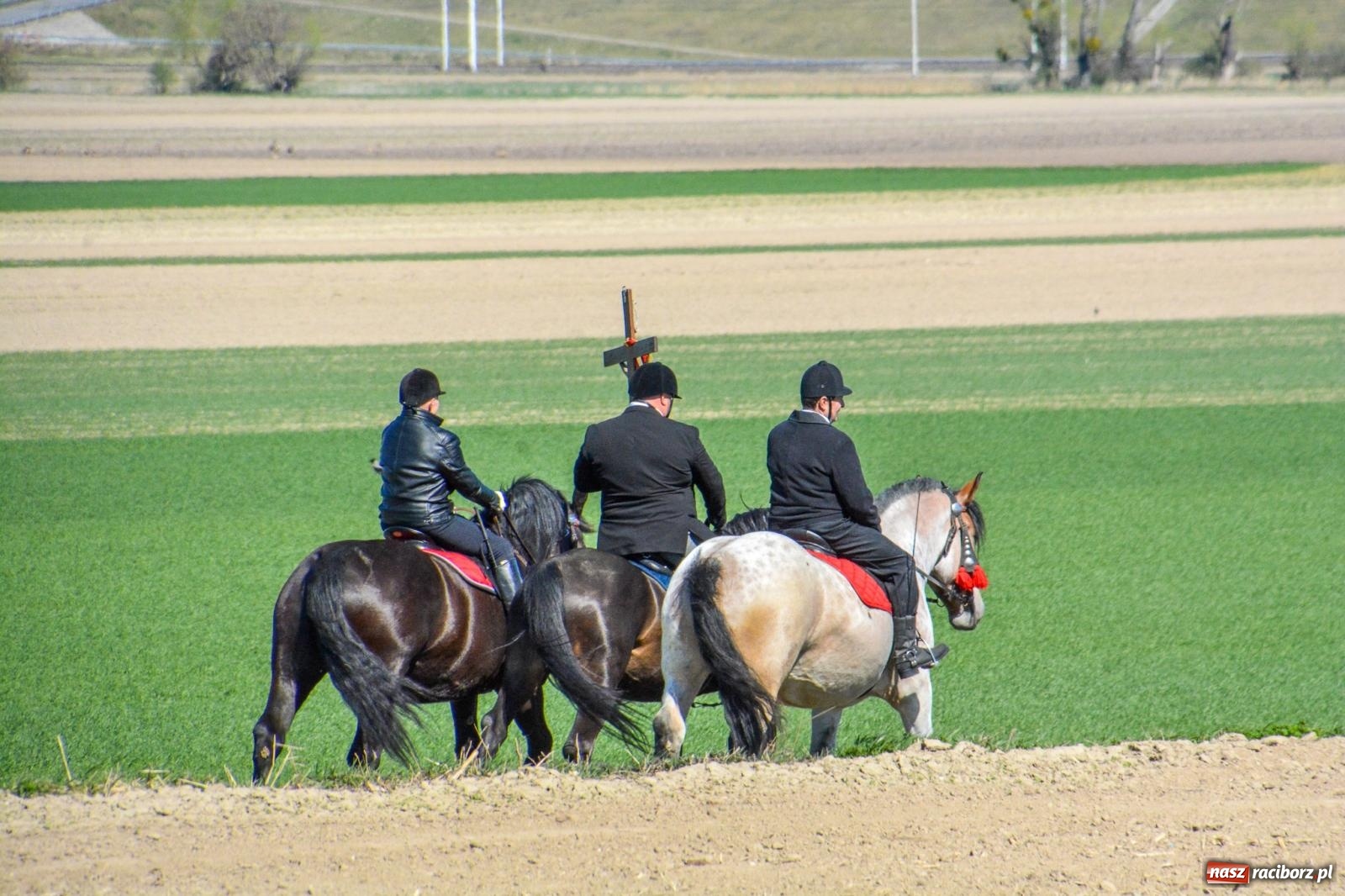 Zdjęcie w galerii na portalu naszraciborz.pl: Bieńkowice: średniowieczna tradycja wciąż żywa - ponad sto koni w procesji [FOTO i WIDEO] wiadomości z regionu