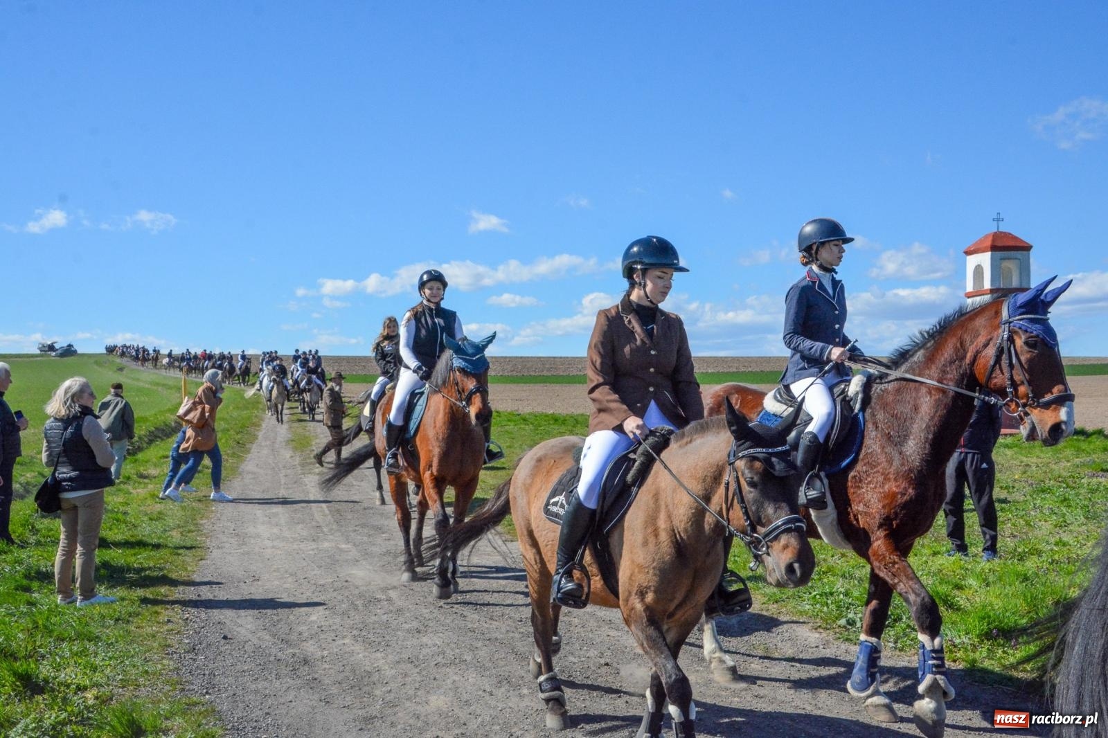 Zdjęcie w galerii na portalu naszraciborz.pl: Bieńkowice: średniowieczna tradycja wciąż żywa - ponad sto koni w procesji [FOTO i WIDEO] wiadomości z regionu