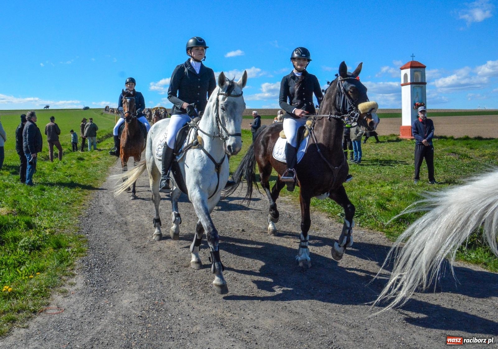 Zdjęcie w galerii na portalu naszraciborz.pl: Bieńkowice: średniowieczna tradycja wciąż żywa - ponad sto koni w procesji [FOTO i WIDEO] wiadomości z regionu