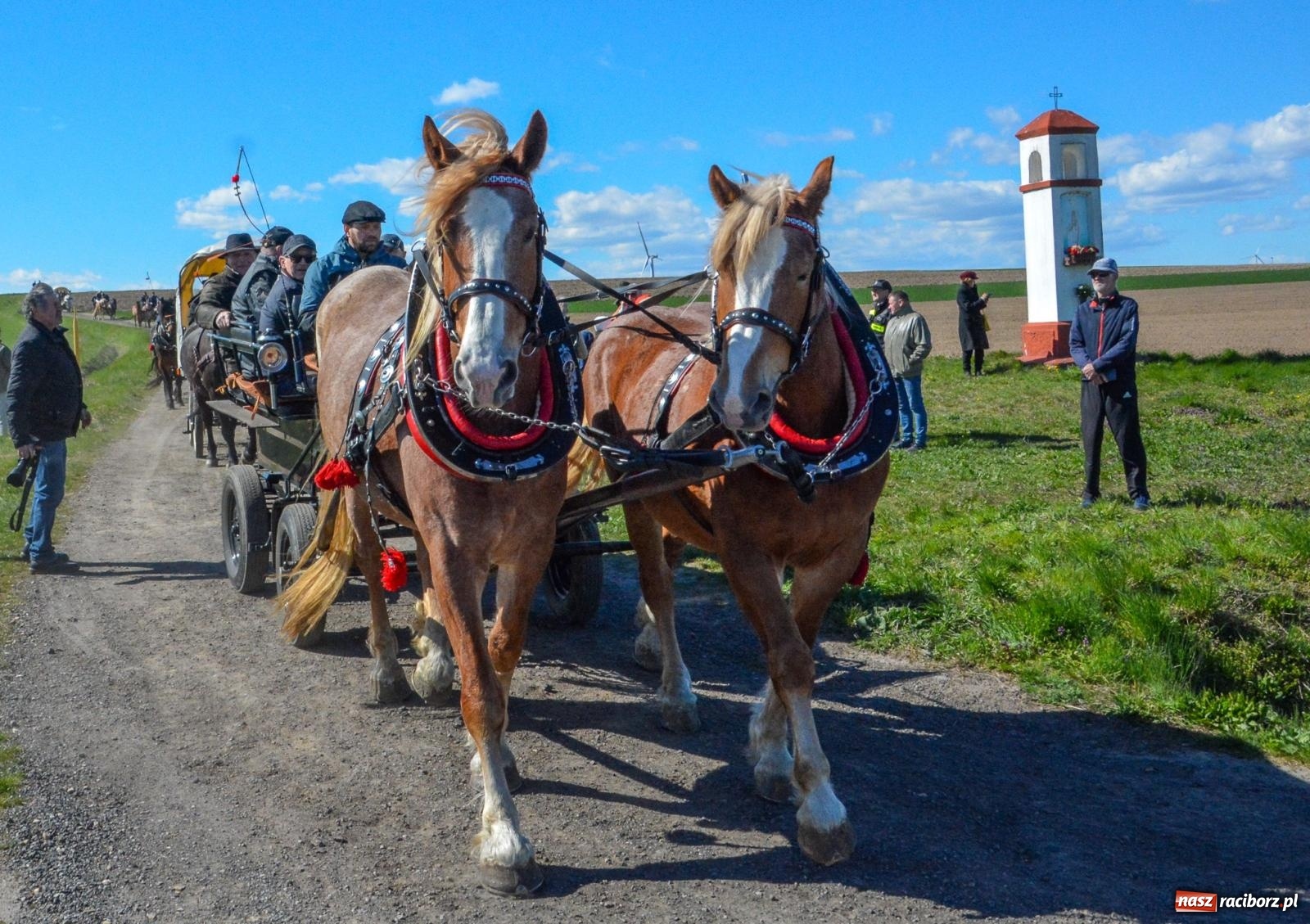 Zdjęcie w galerii na portalu naszraciborz.pl: Bieńkowice: średniowieczna tradycja wciąż żywa - ponad sto koni w procesji [FOTO i WIDEO] wiadomości z regionu