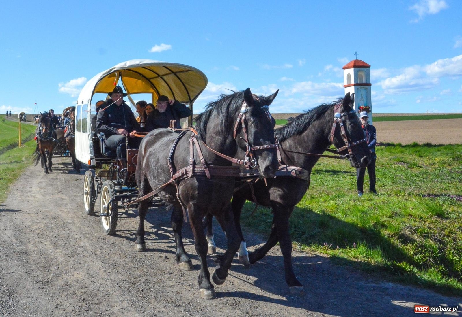 Zdjęcie w galerii na portalu naszraciborz.pl: Bieńkowice: średniowieczna tradycja wciąż żywa - ponad sto koni w procesji [FOTO i WIDEO] wiadomości z regionu