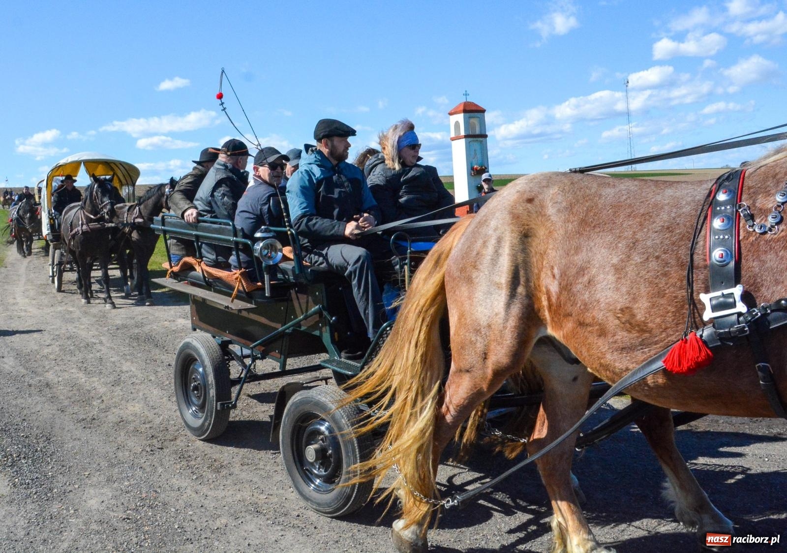 Zdjęcie w galerii na portalu naszraciborz.pl: Bieńkowice: średniowieczna tradycja wciąż żywa - ponad sto koni w procesji [FOTO i WIDEO] wiadomości z regionu