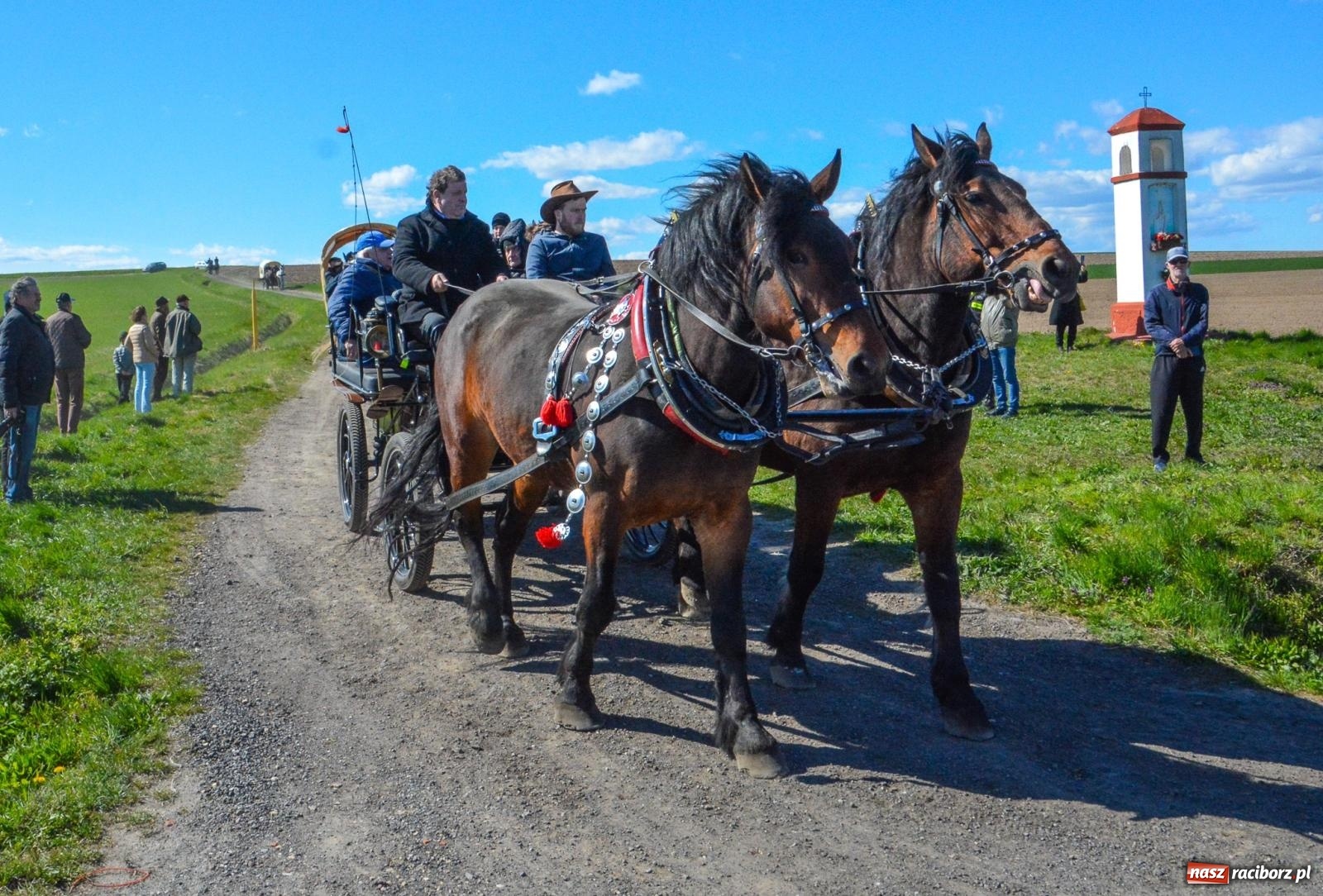 Zdjęcie w galerii na portalu naszraciborz.pl: Bieńkowice: średniowieczna tradycja wciąż żywa - ponad sto koni w procesji [FOTO i WIDEO] wiadomości z regionu