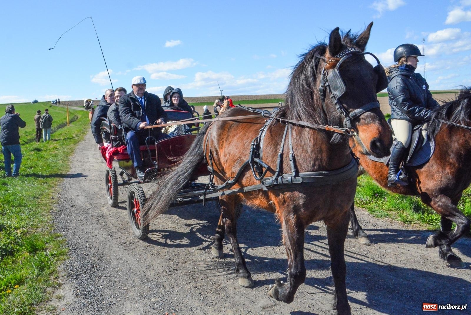 Zdjęcie w galerii na portalu naszraciborz.pl: Bieńkowice: średniowieczna tradycja wciąż żywa - ponad sto koni w procesji [FOTO i WIDEO] wiadomości z regionu