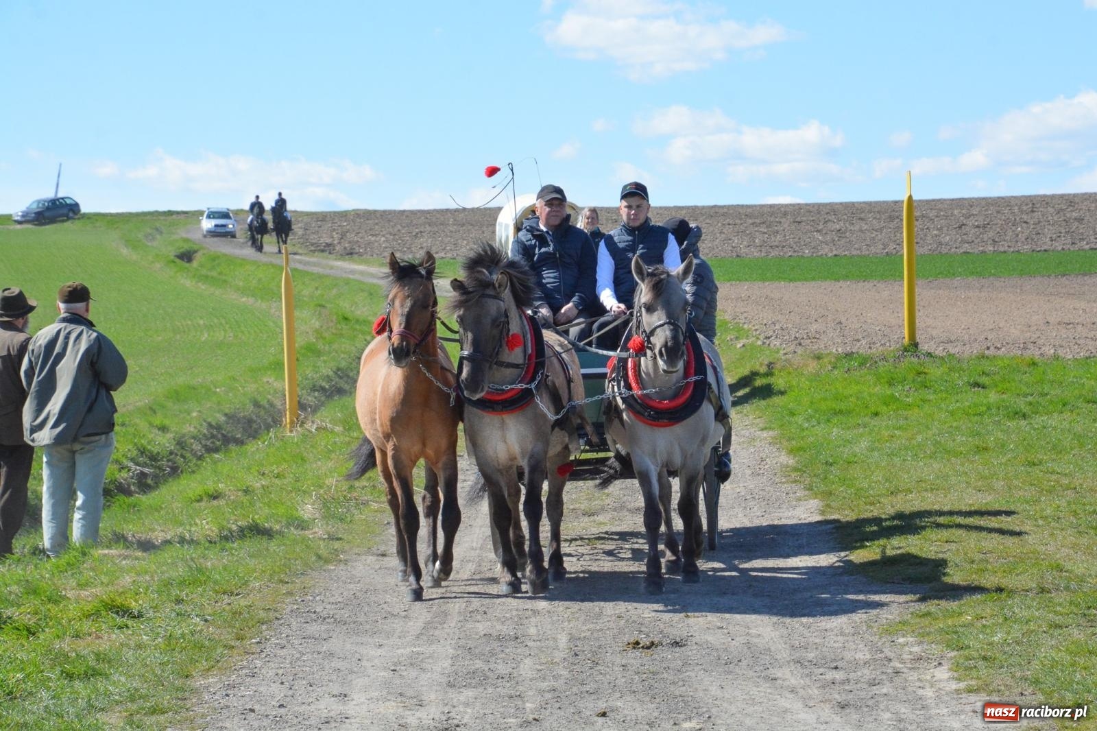 Zdjęcie w galerii na portalu naszraciborz.pl: Bieńkowice: średniowieczna tradycja wciąż żywa - ponad sto koni w procesji [FOTO i WIDEO] wiadomości z regionu