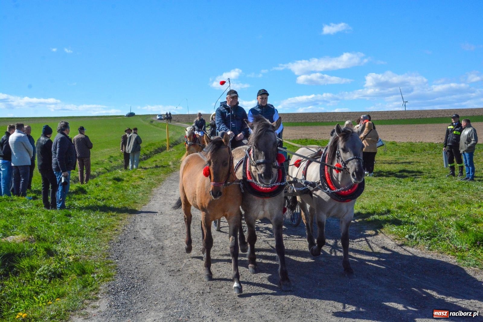 Zdjęcie w galerii na portalu naszraciborz.pl: Bieńkowice: średniowieczna tradycja wciąż żywa - ponad sto koni w procesji [FOTO i WIDEO] wiadomości z regionu