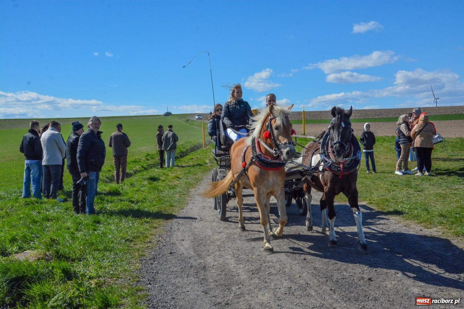 Zdjęcie w galerii na portalu naszraciborz.pl: Bieńkowice: średniowieczna tradycja wciąż żywa - ponad sto koni w procesji [FOTO i WIDEO] wiadomości z regionu