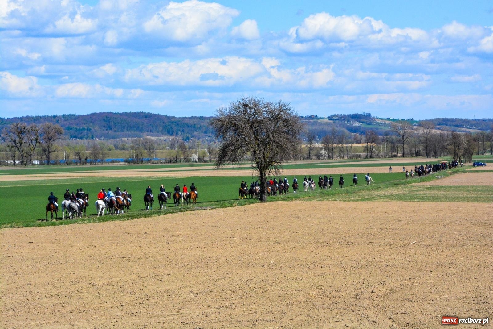 Zdjęcie w galerii na portalu naszraciborz.pl: Bieńkowice: średniowieczna tradycja wciąż żywa - ponad sto koni w procesji [FOTO i WIDEO] wiadomości z regionu
