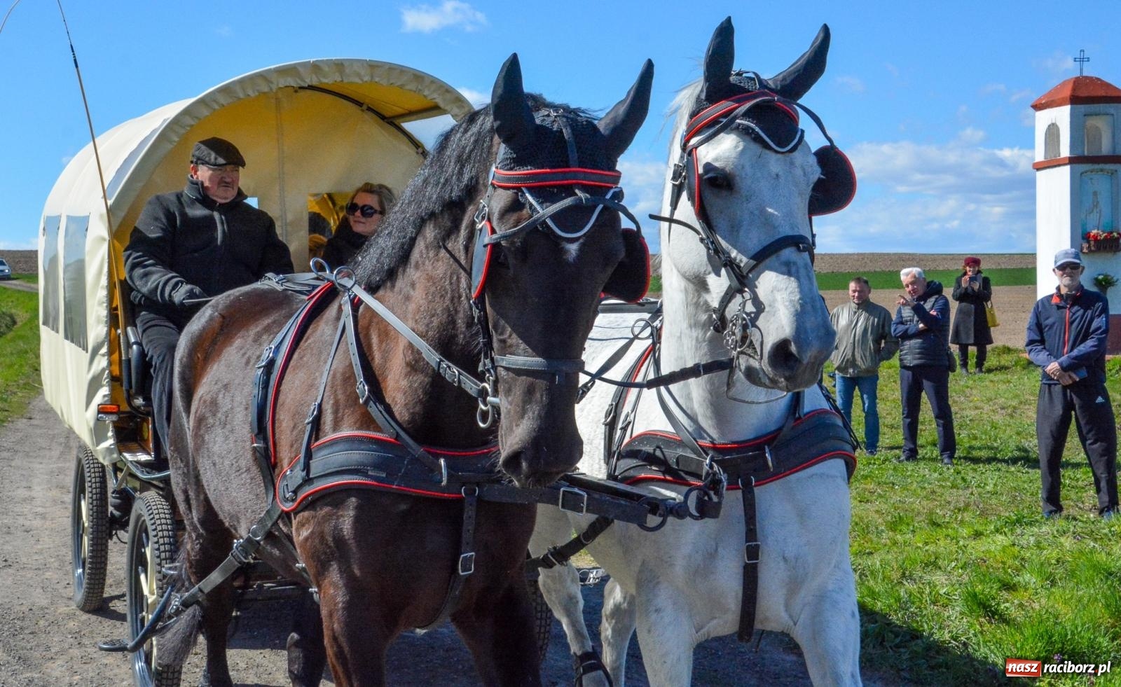 Zdjęcie w galerii na portalu naszraciborz.pl: Bieńkowice: średniowieczna tradycja wciąż żywa - ponad sto koni w procesji [FOTO i WIDEO] wiadomości z regionu