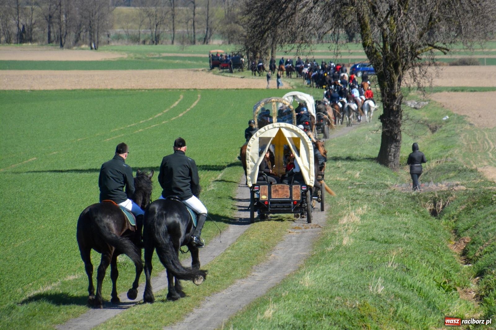 Zdjęcie w galerii na portalu naszraciborz.pl: Bieńkowice: średniowieczna tradycja wciąż żywa - ponad sto koni w procesji [FOTO i WIDEO] wiadomości z regionu