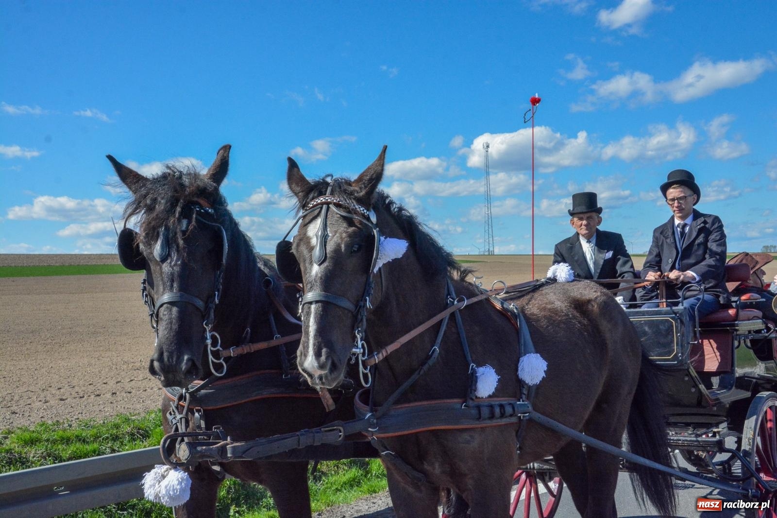 Zdjęcie w galerii na portalu naszraciborz.pl: Racibórz-Sudół: wielkanocna procesja konna z tradycją i modlitwą o urodzaj wiadomości z regionu