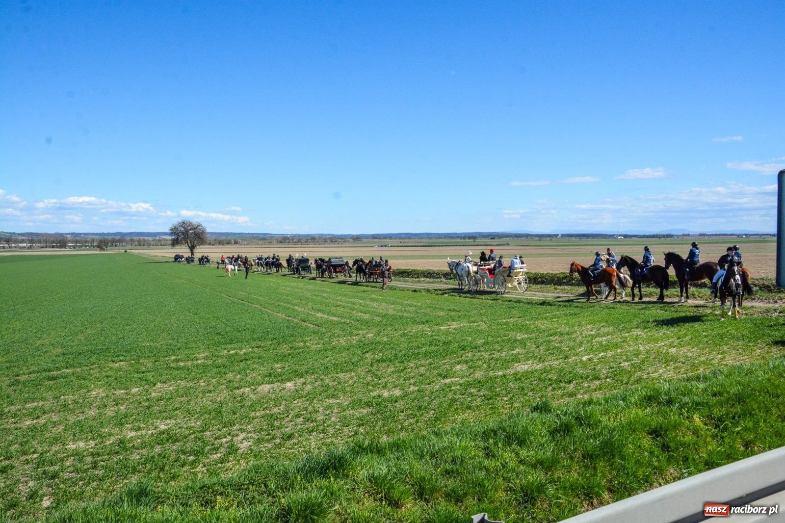 Zdjęcie w galerii na portalu naszraciborz.pl: Racibórz-Sudół: wielkanocna procesja konna z tradycją i modlitwą o urodzaj wiadomości z regionu