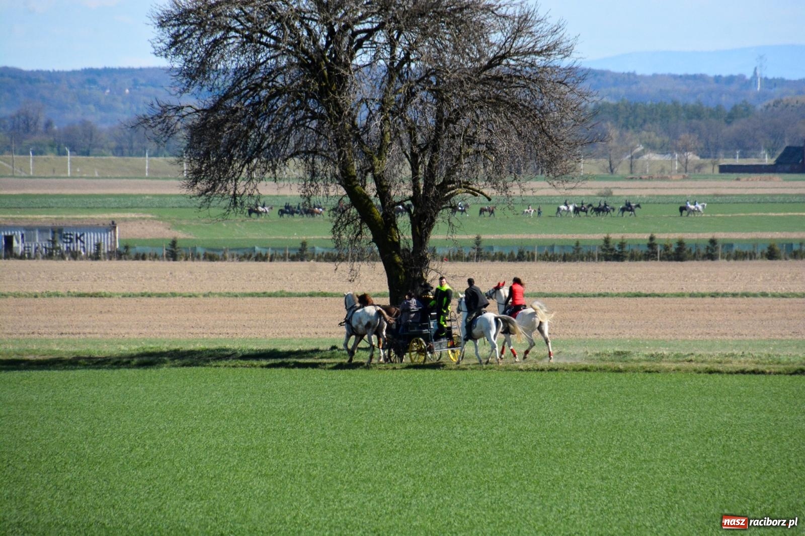 Zdjęcie w galerii na portalu naszraciborz.pl: Racibórz-Sudół: wielkanocna procesja konna z tradycją i modlitwą o urodzaj wiadomości z regionu