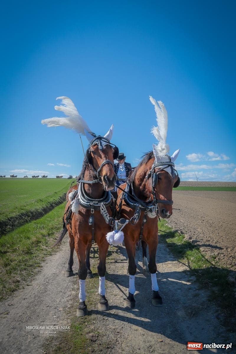 Zdjęcie w galerii na portalu naszraciborz.pl: Wielkanocny objazd pól w powiecie raciborskim [BIEŃKOWICE, PIETROWICE WLK., SUDÓŁ] wiadomości z regionu