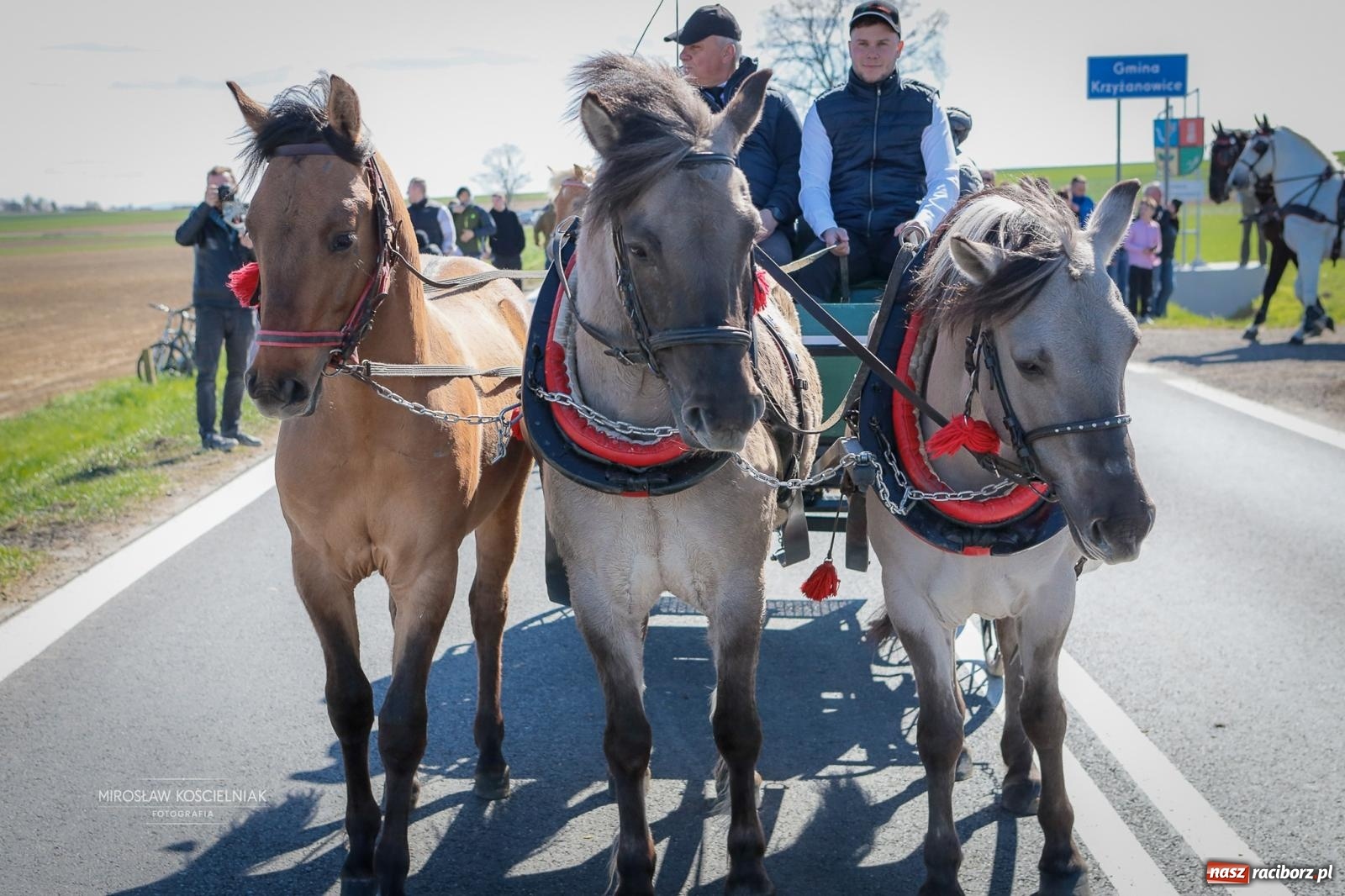 Zdjęcie w galerii na portalu naszraciborz.pl: Wielkanocny objazd pól w powiecie raciborskim [BIEŃKOWICE, PIETROWICE WLK., SUDÓŁ] wiadomości z regionu