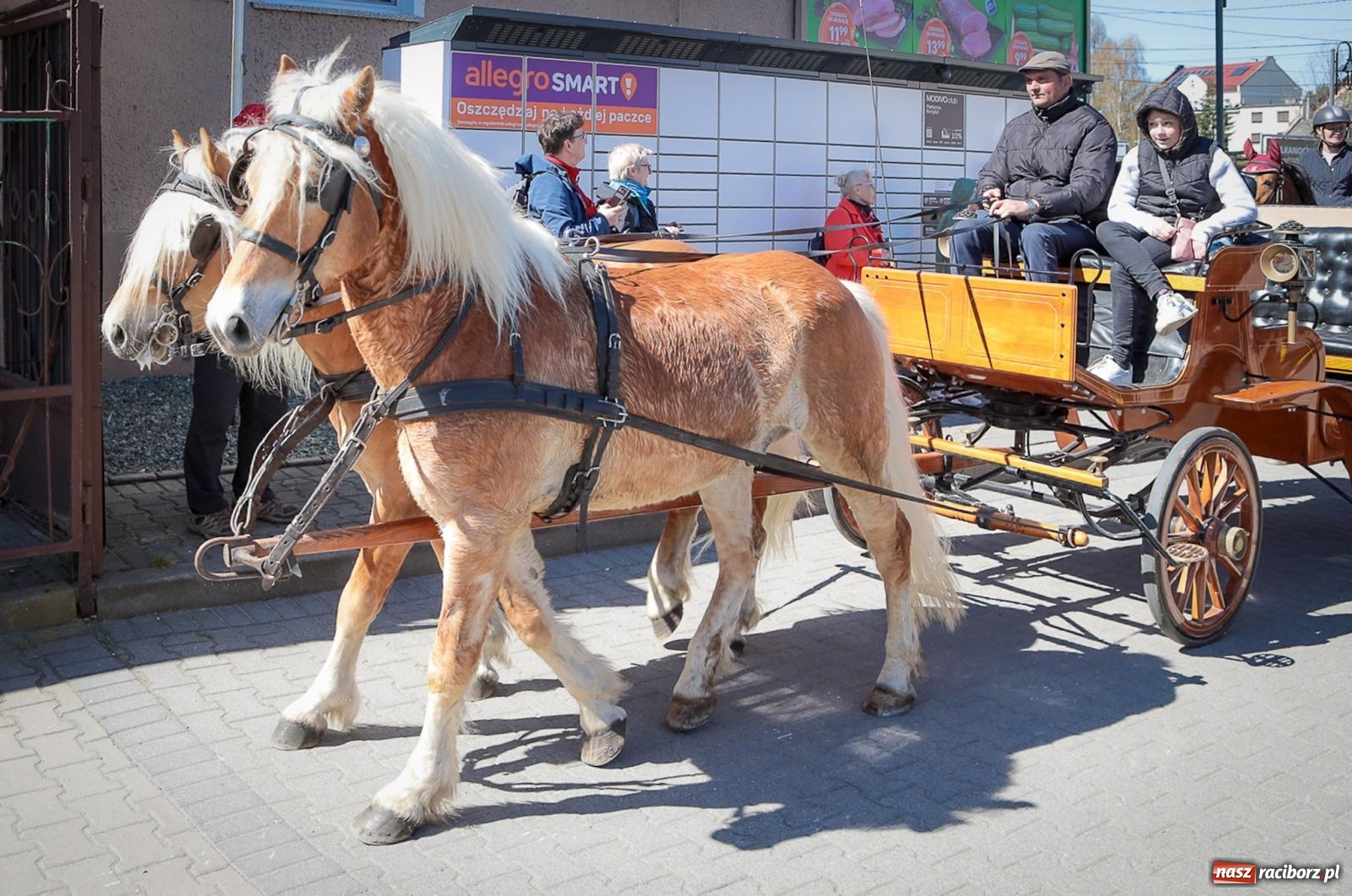 Zdjęcie w galerii na portalu naszraciborz.pl: Wielkanocny objazd pól w powiecie raciborskim [BIEŃKOWICE, PIETROWICE WLK., SUDÓŁ] wiadomości z regionu