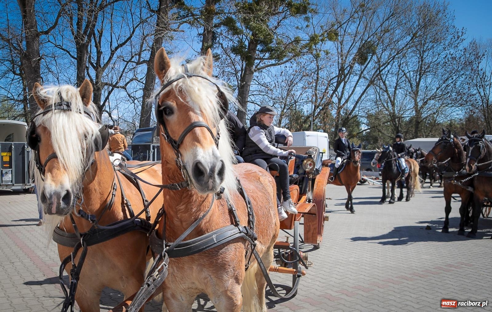Zdjęcie w galerii na portalu naszraciborz.pl: Wielkanocny objazd pól w powiecie raciborskim [BIEŃKOWICE, PIETROWICE WLK., SUDÓŁ] wiadomości z regionu