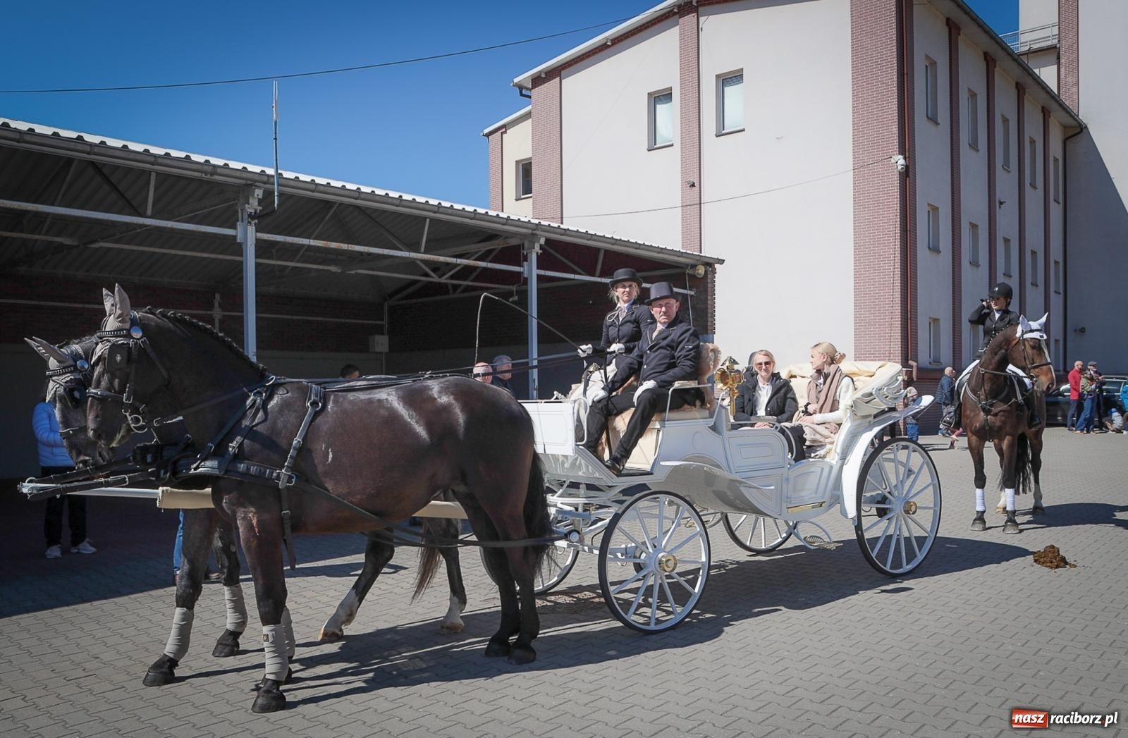Zdjęcie w galerii na portalu naszraciborz.pl: Wielkanocny objazd pól w powiecie raciborskim [BIEŃKOWICE, PIETROWICE WLK., SUDÓŁ] wiadomości z regionu